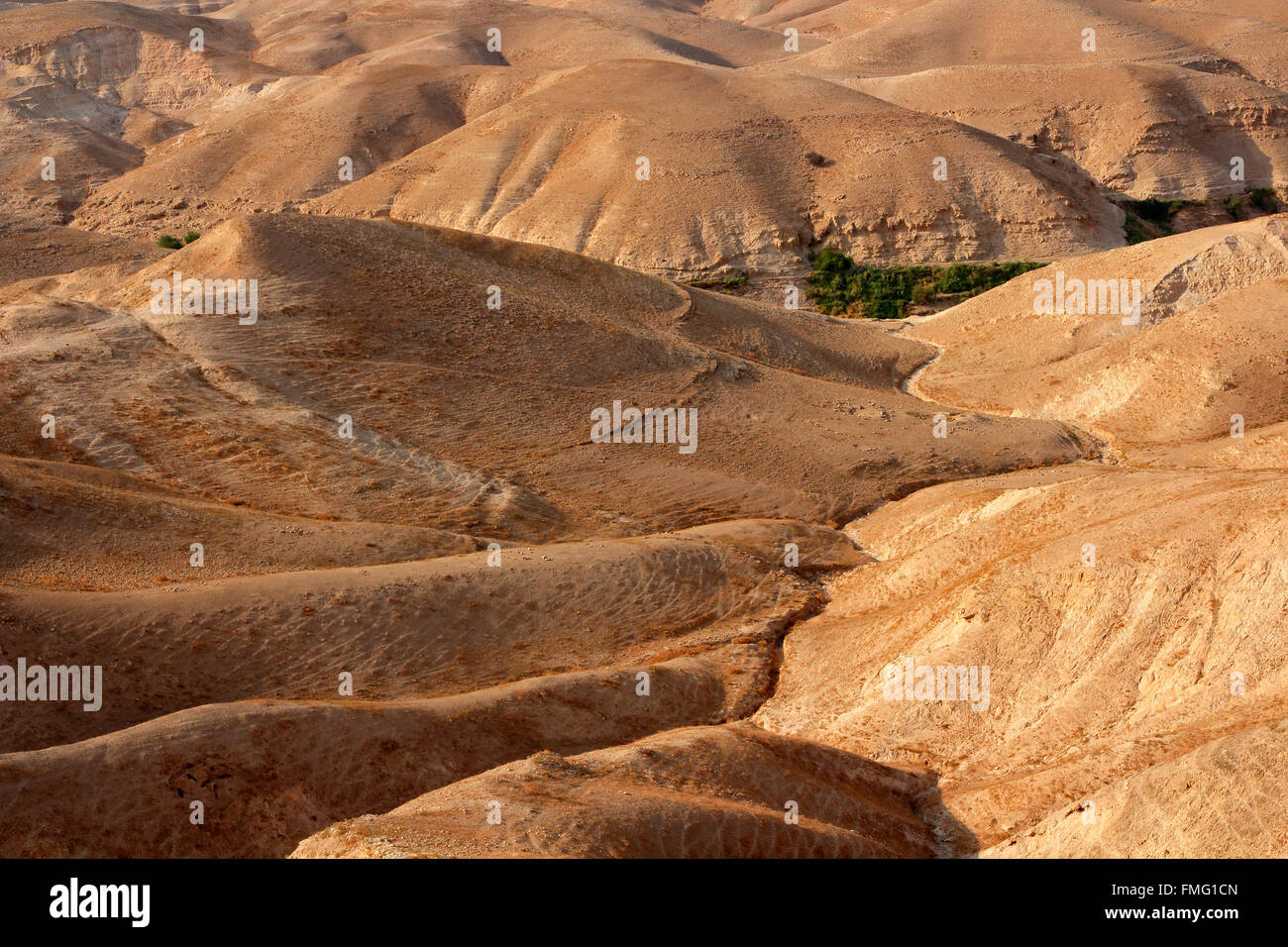 Montañoso paisaje del desierto de Judea, cerca de Jericó, Israel Foto de stock