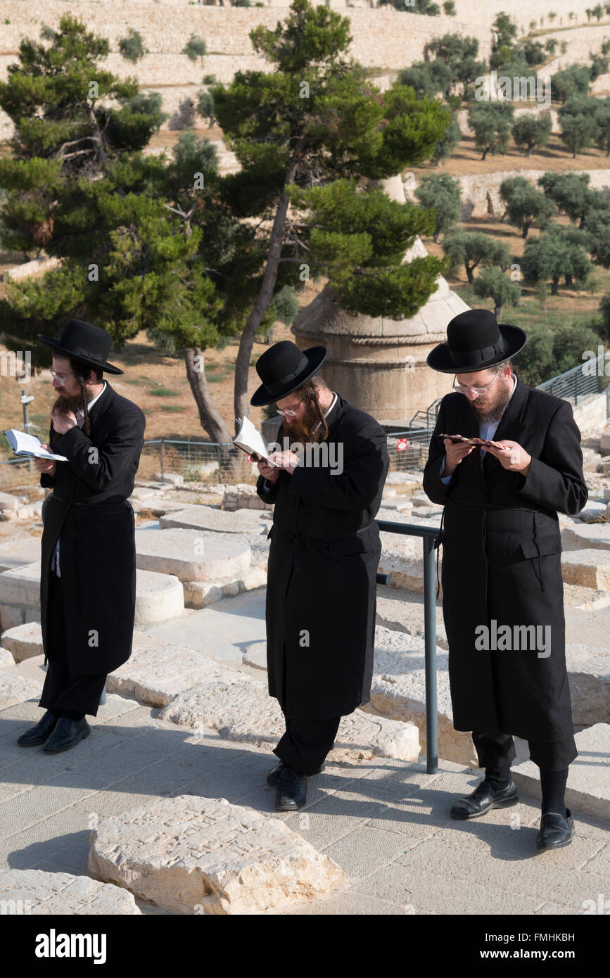 Los judíos ortodoxos orando en el Monte de los Olivos. Jerusalén. Israel. Foto de stock
