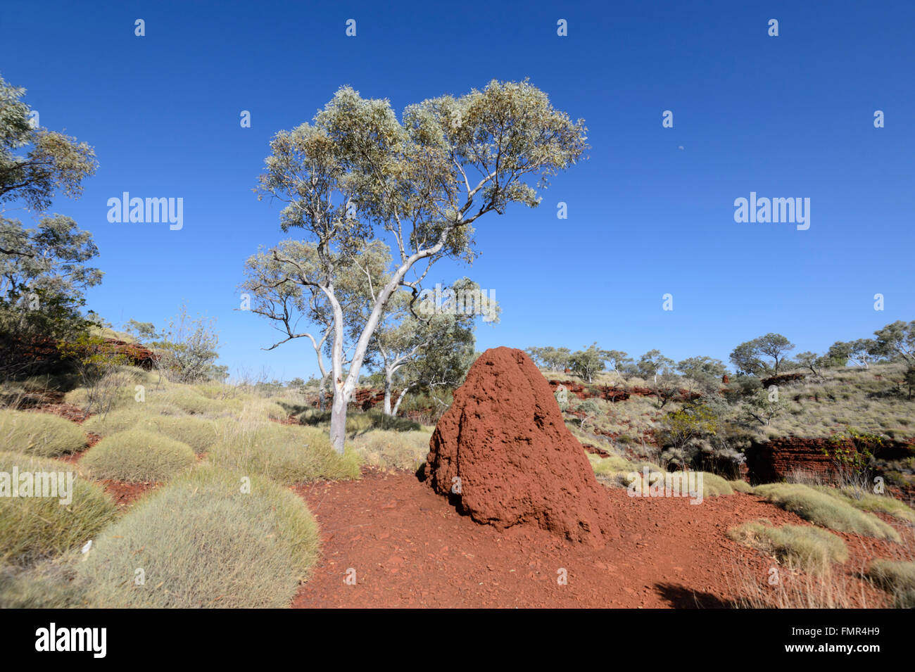 Parque Nacional Karijini, Pilbara, Australia Occidental, WA, Australia Foto de stock
