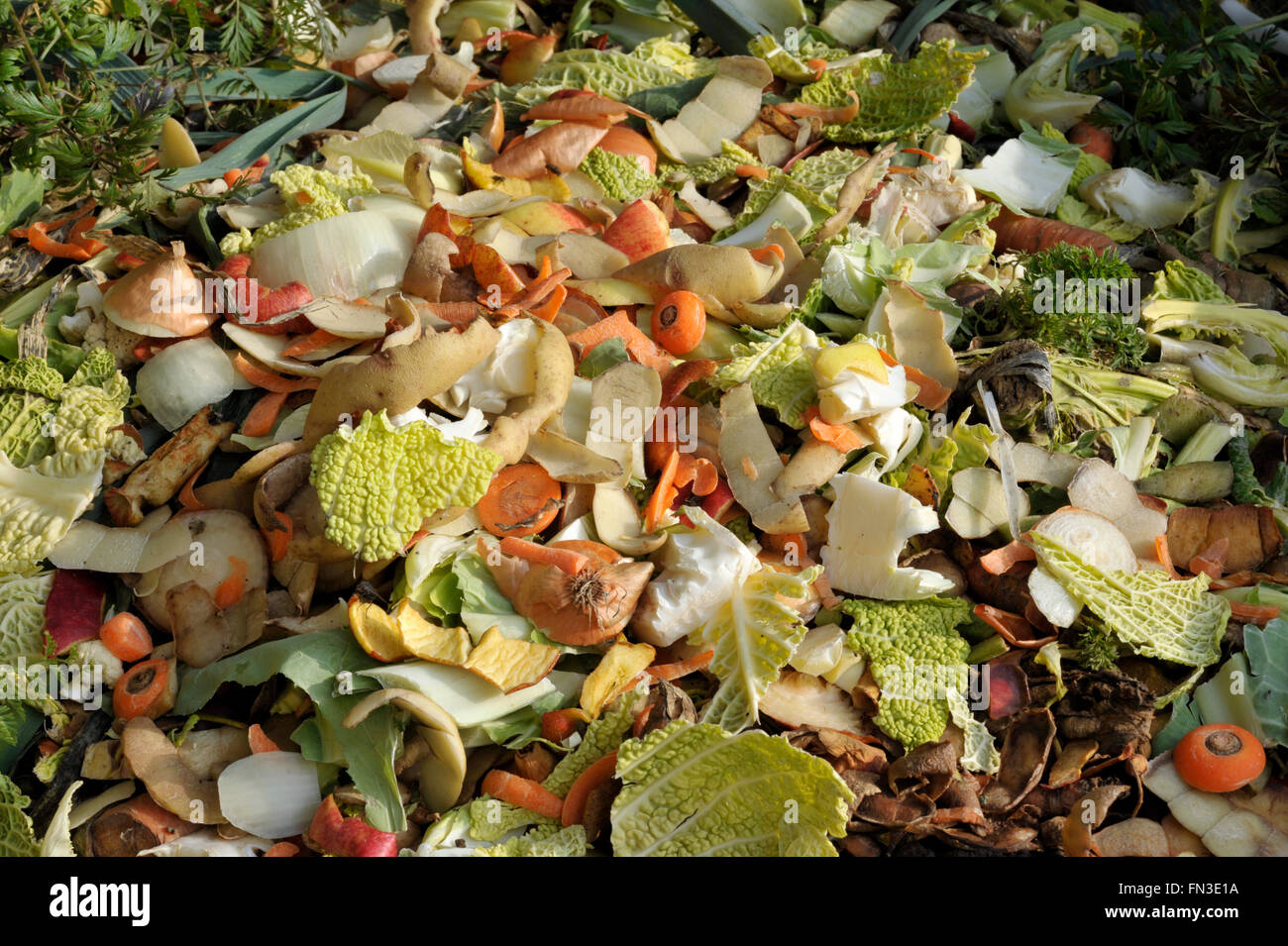 Cocina de residuos comida de plástico 2.5 litros de compost Caddy Titular de verduras NUEVO 