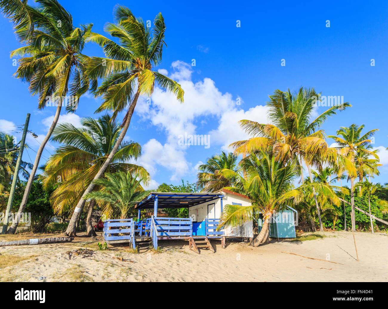 Cabaña de madera en la playa de arena en la bahía Carlisle, al sur-oeste de Antigua, Antigua y Barbuda, Antillas con palmeras y cielo azul Foto de stock