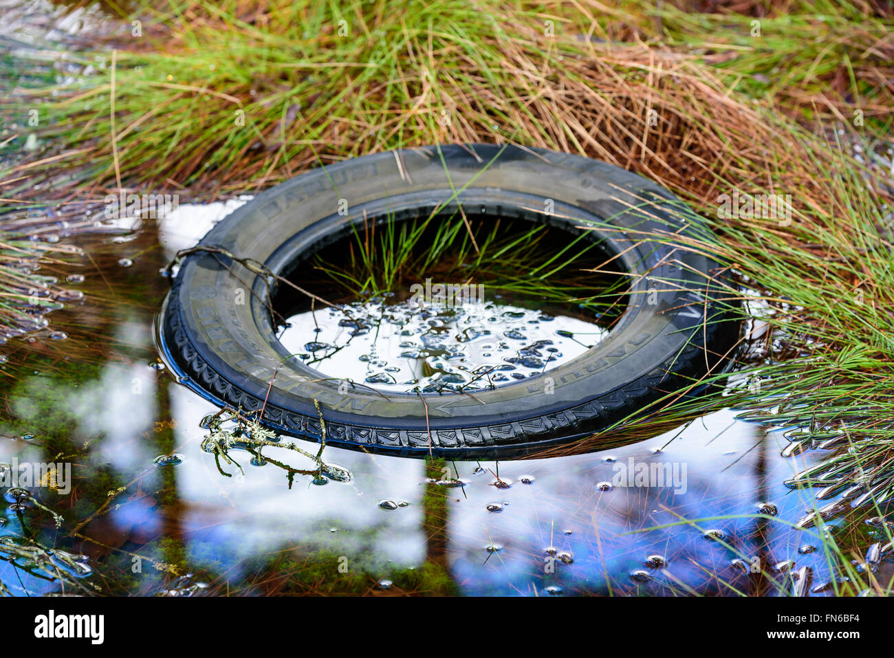 Ryd, Suecia - Marzo 09, 2016: Un viejo coche usado izquierdo del neumático en la naturaleza en un charco de agua. Se degradan lentamente y contaminar la na Foto de stock