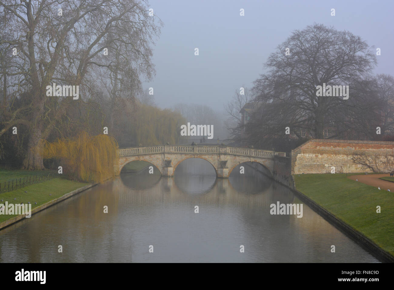 Vista clara hacia el puente sobre el río Cam en una mañana neblinosa a principios de la primavera, de la Universidad de Cambridge, Cambridge, Inglaterra. Foto de stock