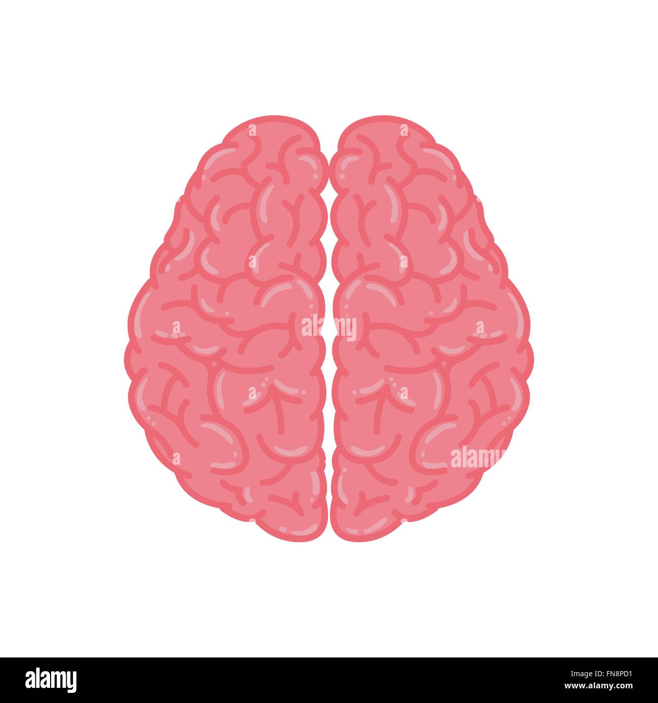 Ilustración vectorial del cerebro humano en color rosa Ilustración del Vector