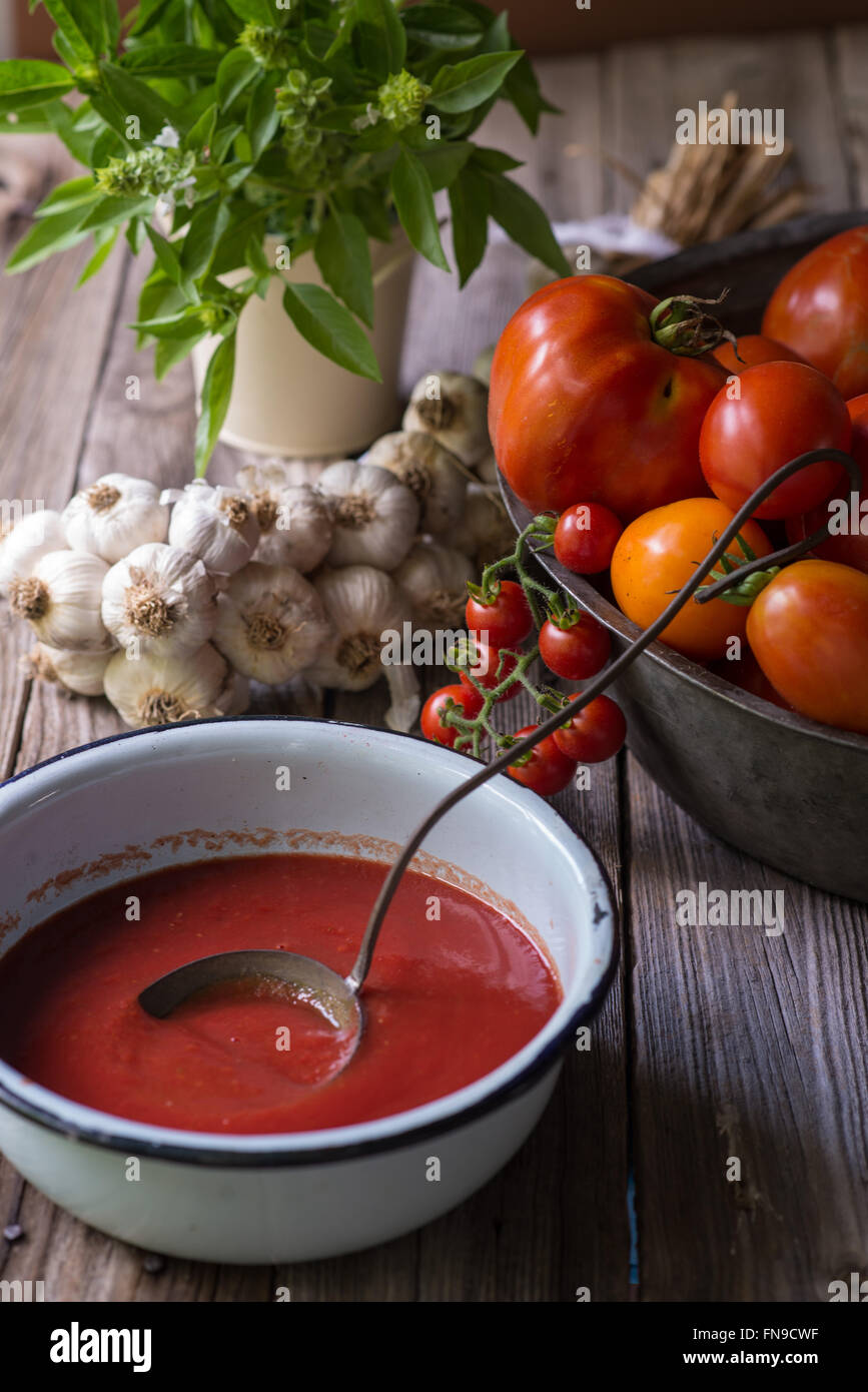 Todavía la vida de salsa de tomate casera con tomate, ajo y hierbas Foto de stock