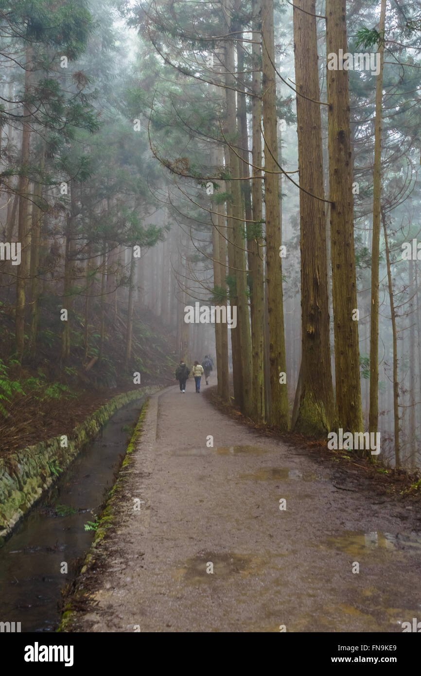 Tres personas caminando en el Parque de Monos Jigokudani, Nagano, Japón Foto de stock