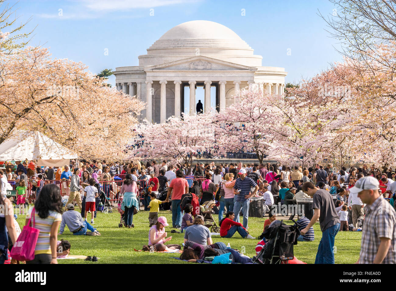 Washington DC Cherry Blossoms Jefferson Memorial. Multitudes en Domingo Festival de la flor de la Cereza. Foto de stock