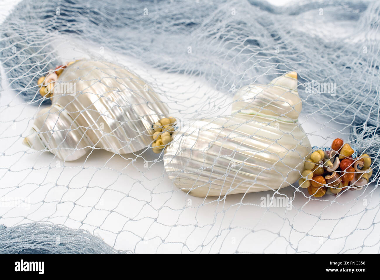 Conchas de colorida bufanda femenina sobre blanco Foto de stock