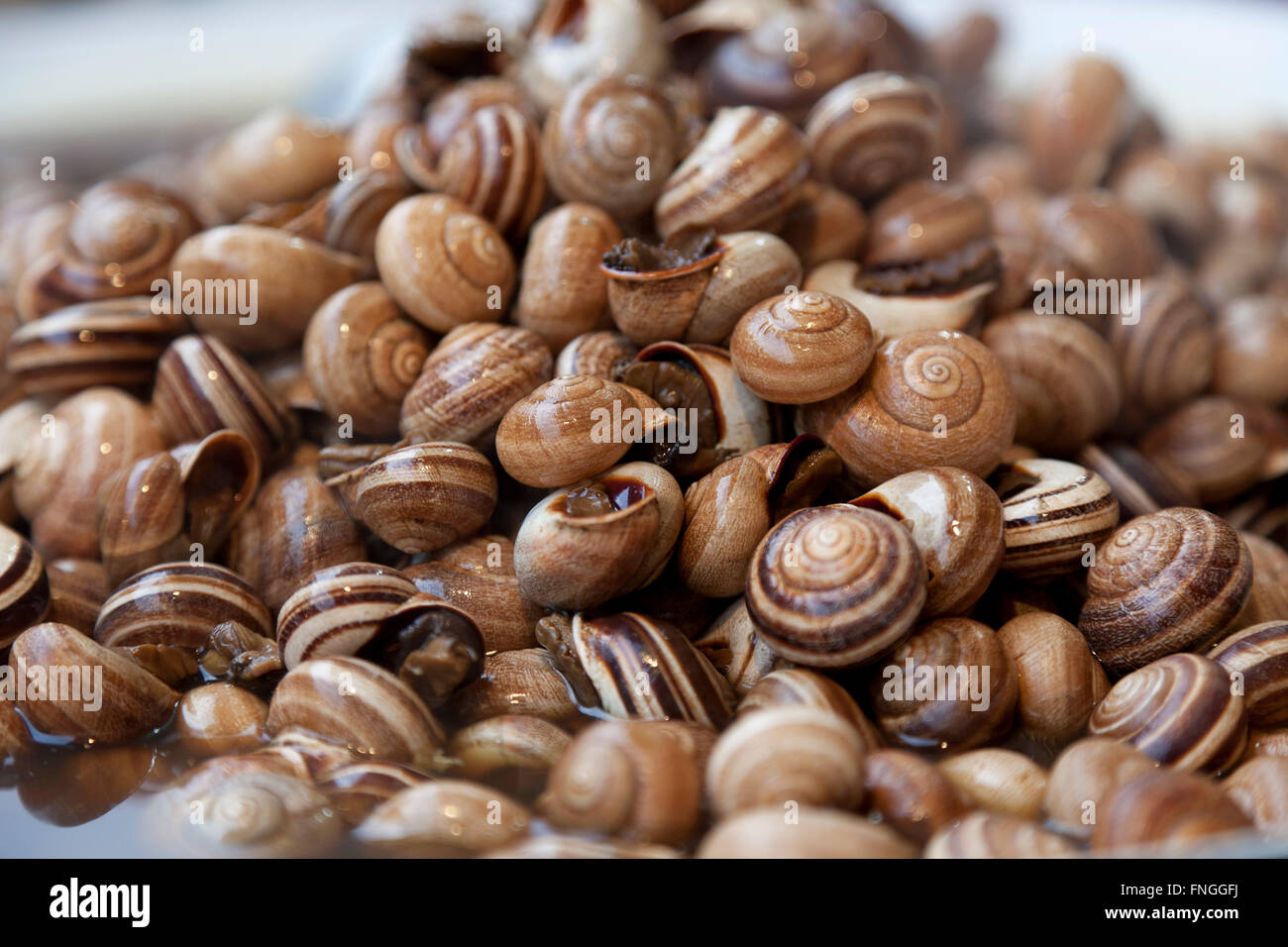 Los caracoles cocidos en el mercado de Jamaa el Fna, Marrakech, Marruecos Foto de stock
