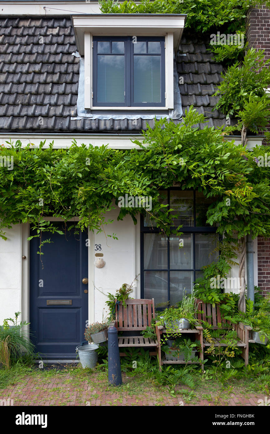Pequeña casa con plantas verdes que crecen alrededor en Leiden, Holanda Foto de stock