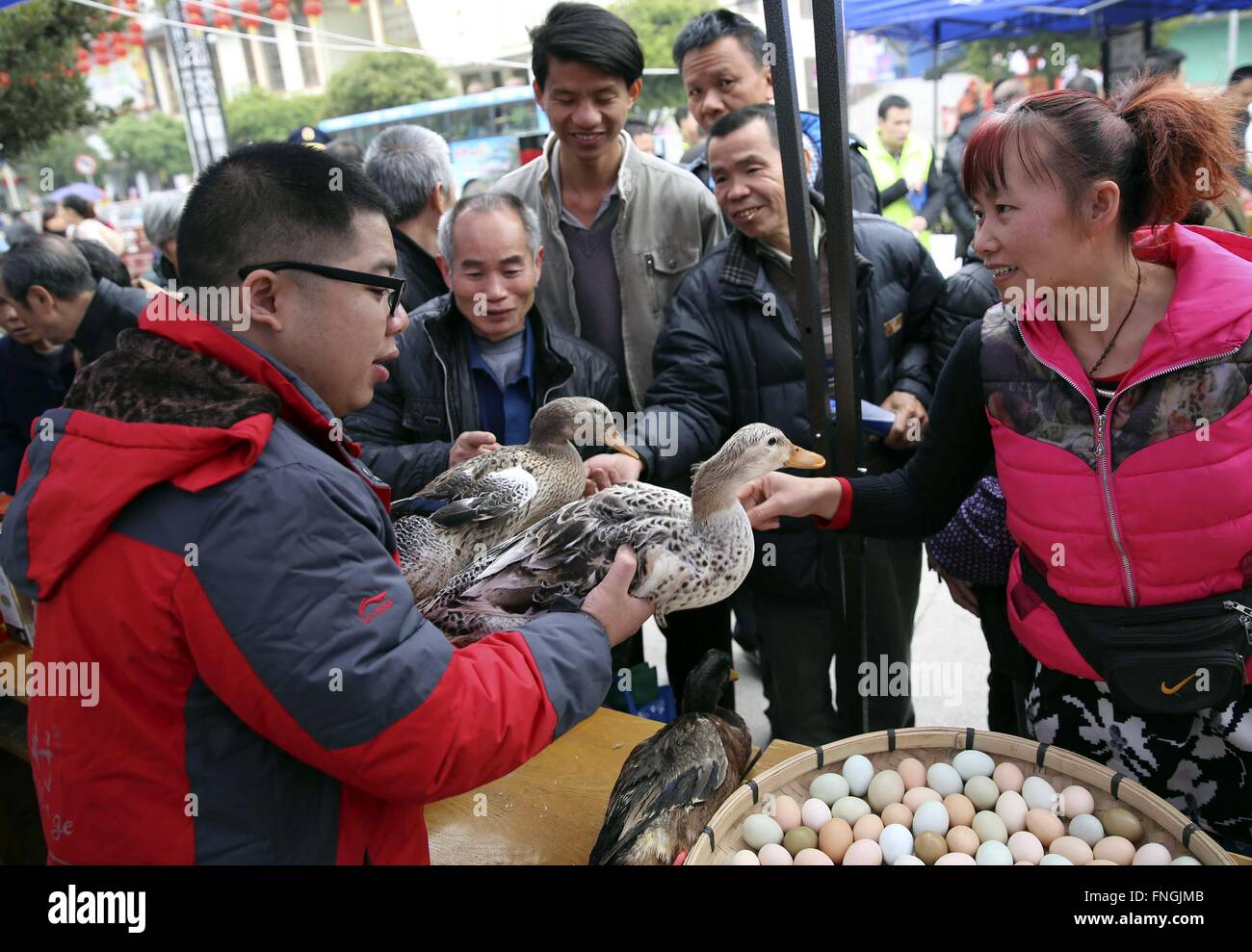 Liuzhou, Rongshui. 15 Mar, 2016. Meng Kechang (L), propietario de una empresa privada, les dice a sus clientes cómo identificar las verdaderas Rongshui patos fomentado en el condado de Rongshui Miao autónoma del sur de China, en la Región Autónoma de Guangxi Zhuang, en una plaza en Rongshui, 15 de marzo de 2016. Una variedad de actividades se realizaron a través de China para elevar la conciencia de los consumidores para proteger sus derechos como el Día Internacional de los derechos del consumidor cayó el 15 de marzo. © Largo Tao/Xinhua/Alamy Live News Foto de stock