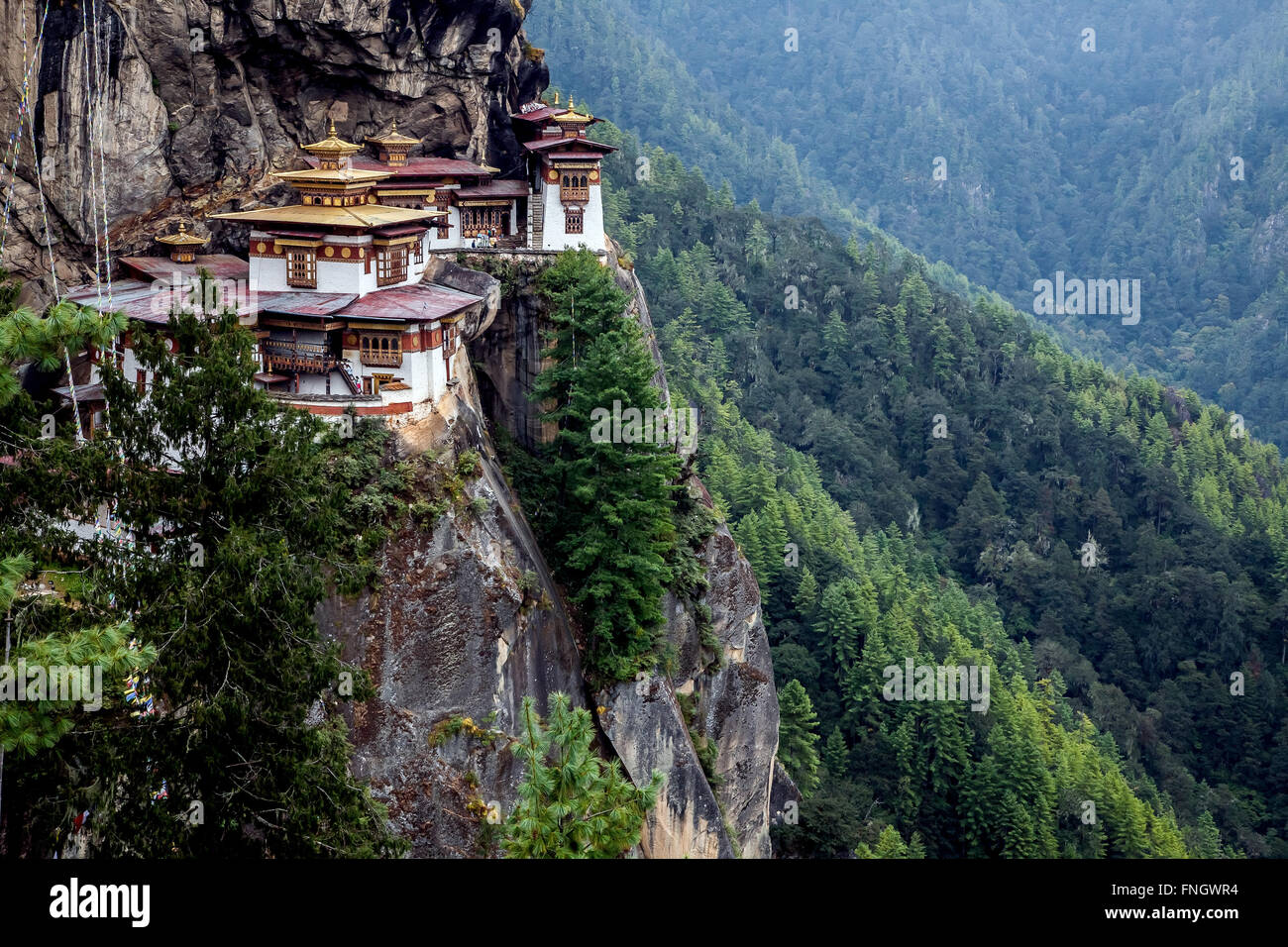 Paro Taktsang, también conocido como el Nido del Tigre es un sitio sagrado budista Vajrayana Himalaya situado en el acantilado del valle de Paro en Bután. Foto de stock
