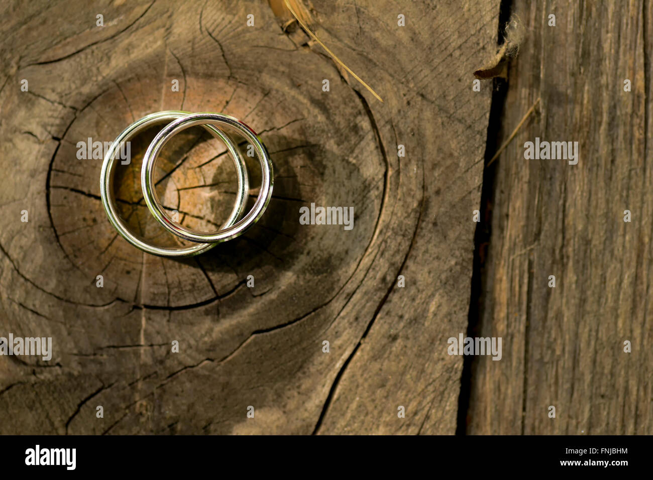 Anillos de boda de oro colocado sobre una textura de madera Foto de stock