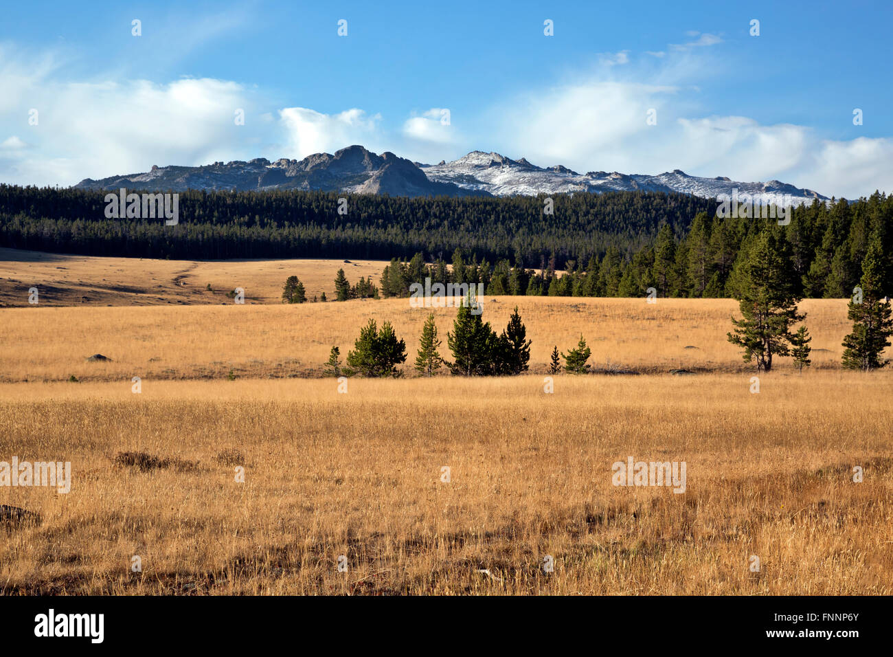 WY01289-00...Wyoming - vastos prados de Dickinson Park y el rango más allá de Wind River. Foto de stock