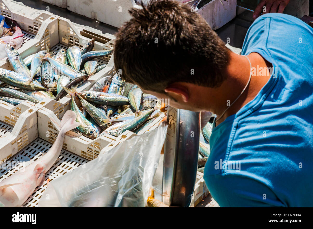 Los vendedores y compradores en el famoso mercado de pescado en Catania. Mayores atracciones folclóricas de la ciudad de Catania, Sicilia, Italia Foto de stock