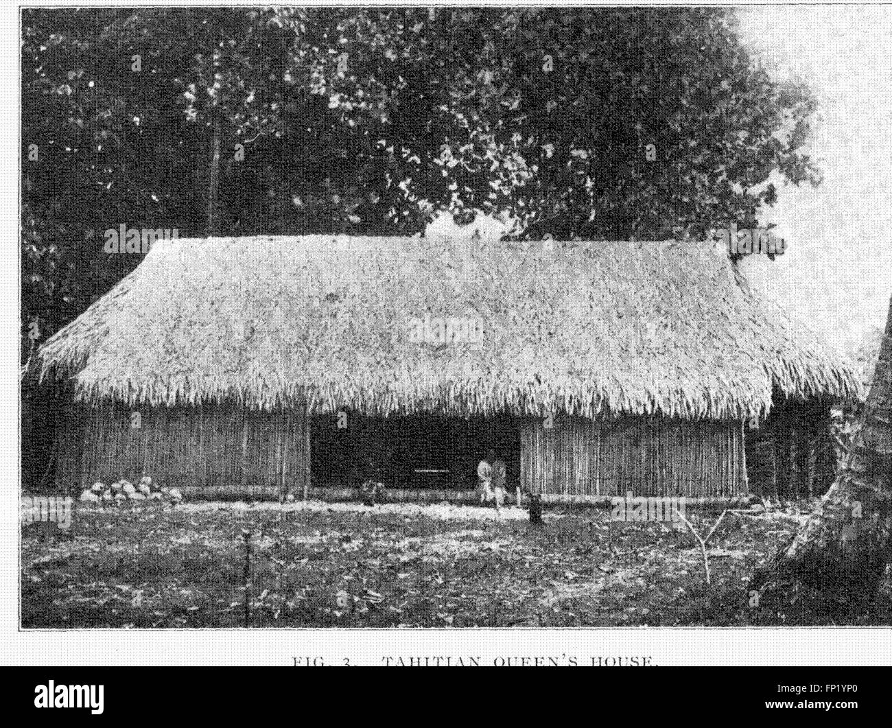 Memorias de la Bernice Pauahi Bishop Museum de la polinesia etnología e Historia Natural (1899) Foto de stock