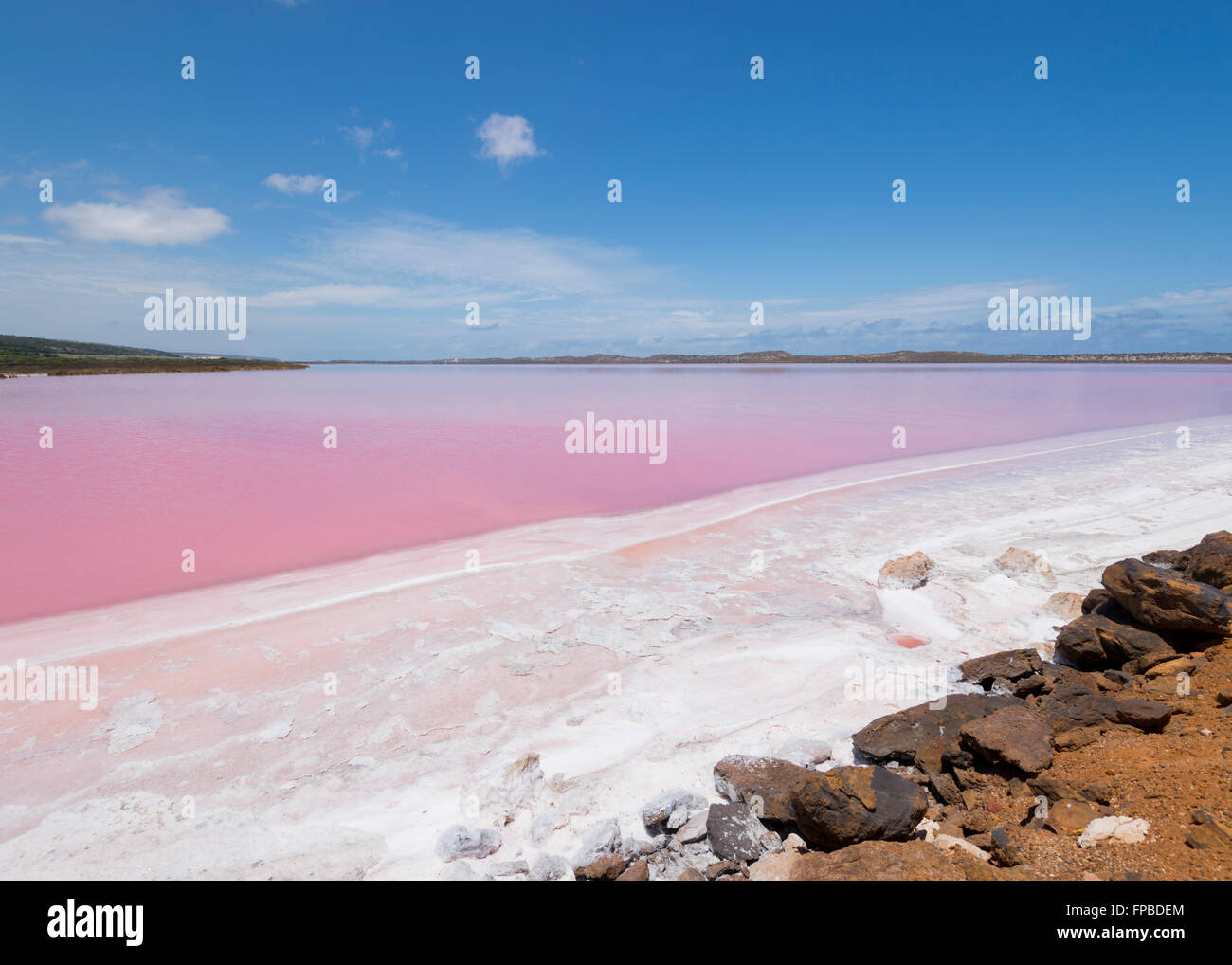 Hutt, laguna, Lago Rosa que contiene beta-caroteno, Australia Occidental, WA, Australia Foto de stock
