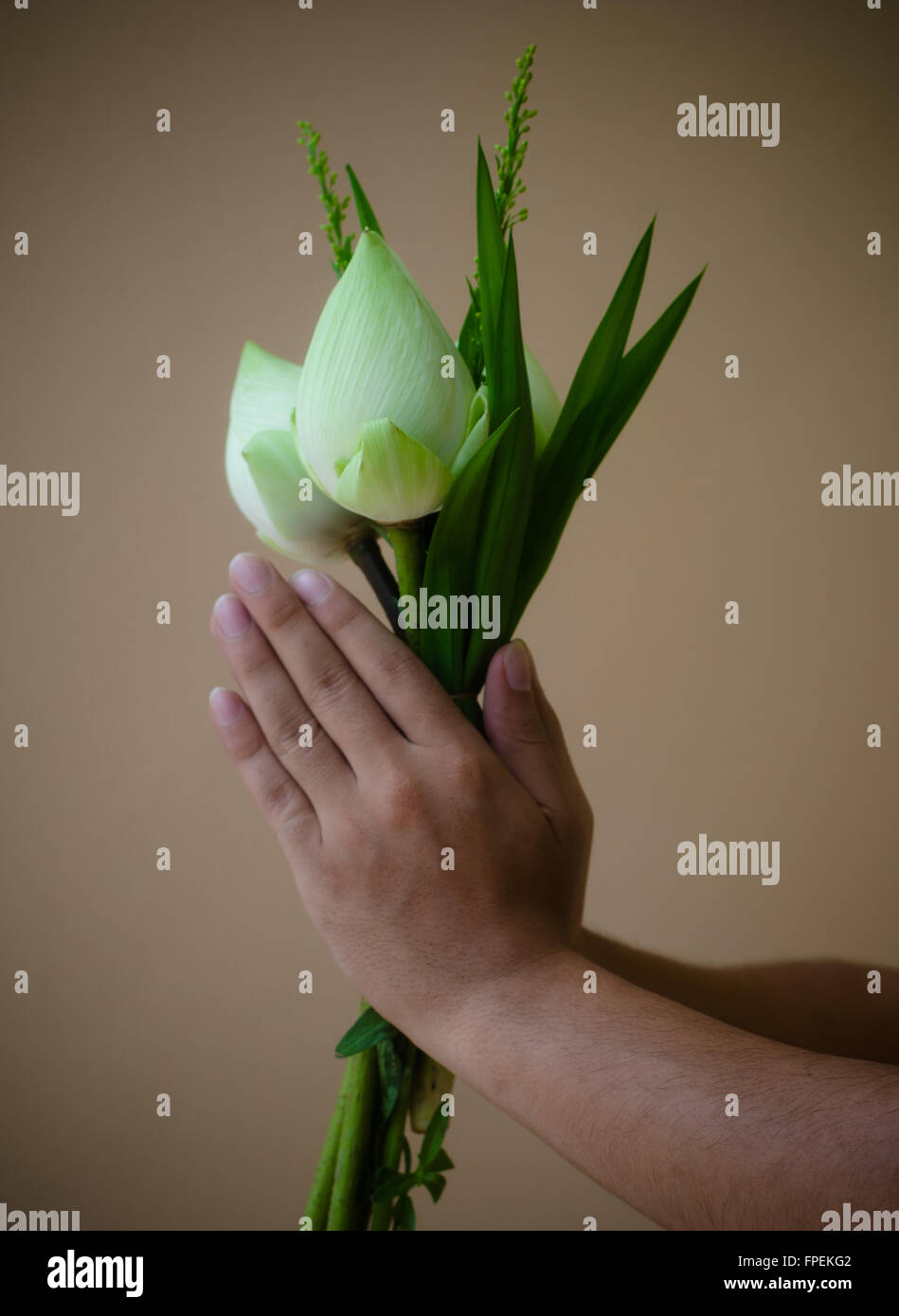 Disculparse disculpa fotografías e imágenes de alta resolución - Alamy Disculparse disculpa fotografías e imágenes de alta resolución - Alamy