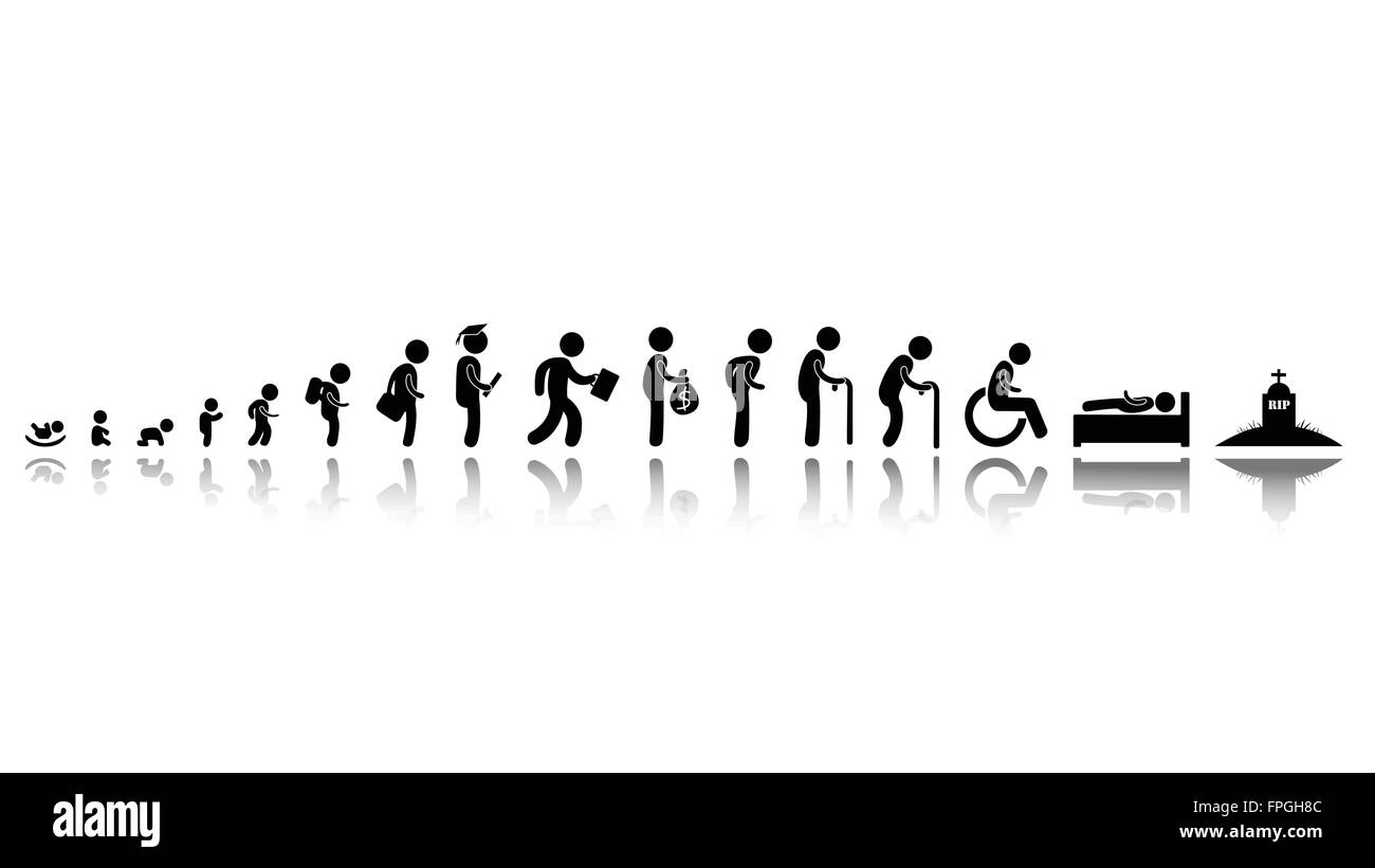 Evolutio Imágenes vectoriales de stock Alamy