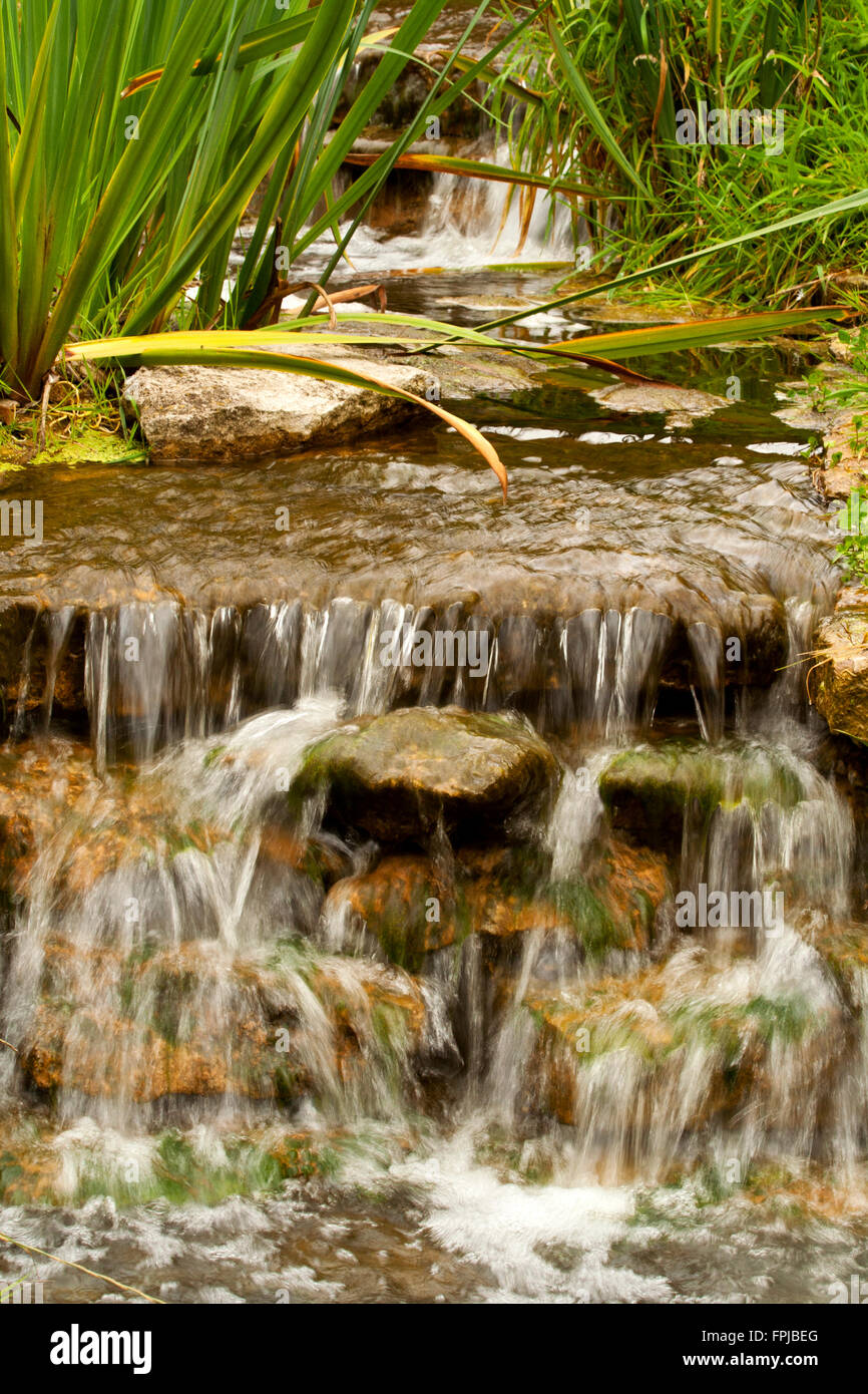 Una pequeña cascada con efecto de agua ligeramente borroso y plantas verdes  arriba Fotografía de stock - Alamy