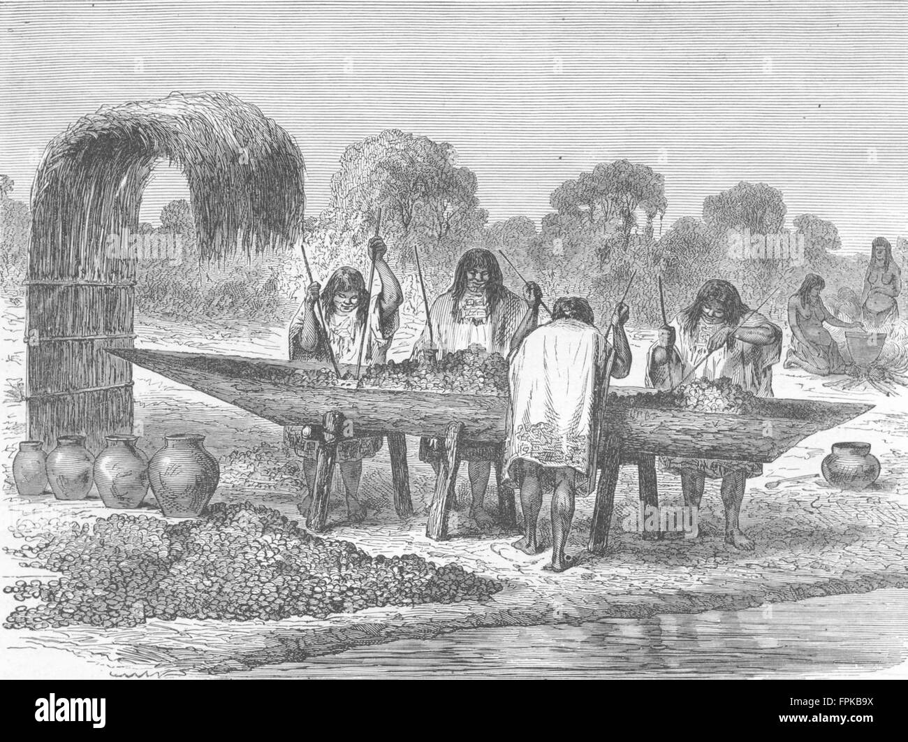 Brasil los indios de la maceración de los huevos de tortuga, grabado antiguo 1880 Fotografía de
