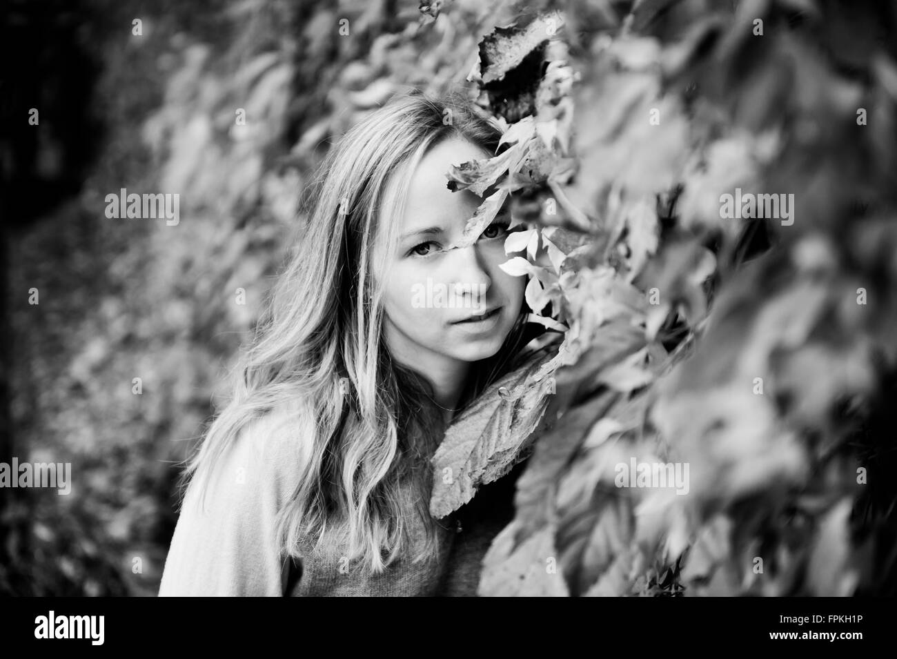 Chica que acechan a través de las hojas de otoño en blanco y negro tonation, orientación horizontal, con derechos gestionados, señor disponible. Foto de stock