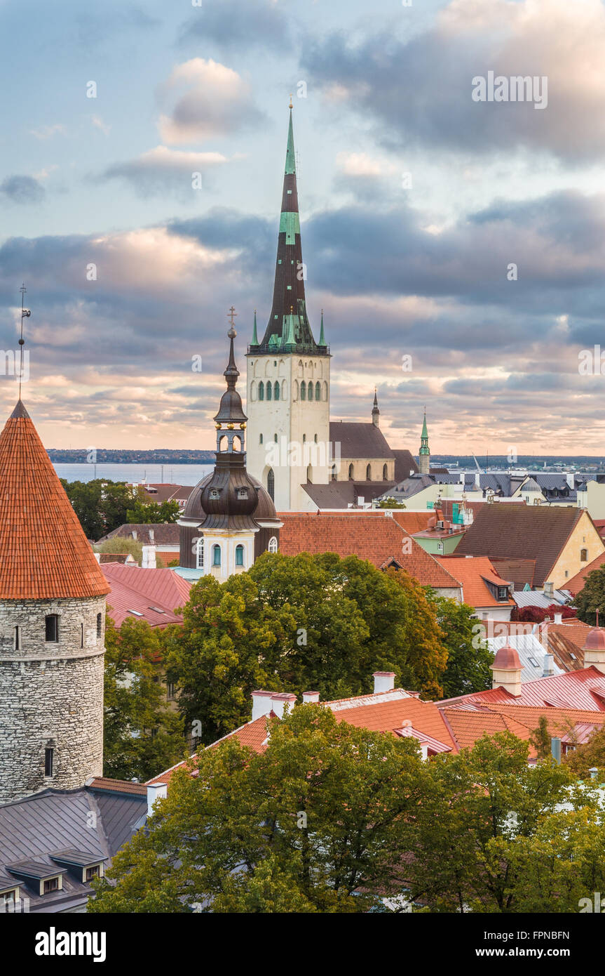 Por la mañana la vista de la ciudad vieja de Tallinn, Estonia. La Iglesia Oleviste y tejados medievales Foto de stock