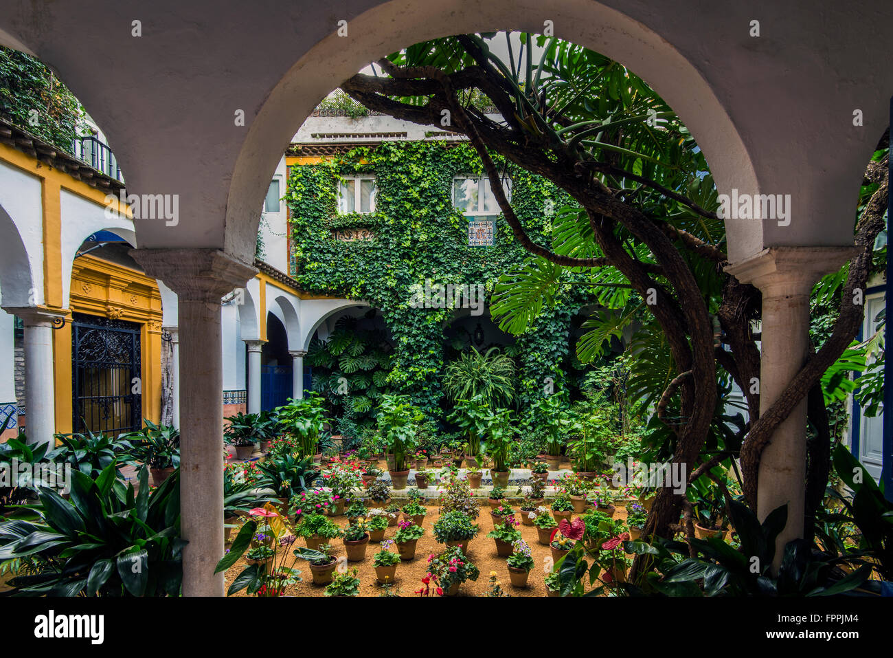 Tradicional patio interior de una casa andaluza en Sevilla, Andalucía, España Foto de stock