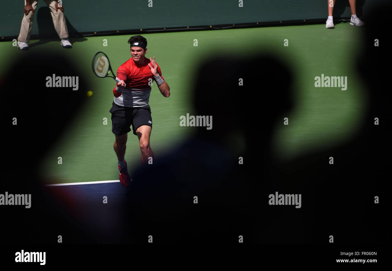 Marzo 20, 2016: Milos Raonic de Canadá en acción mientras juega Novak Djokovic en la final de singles de ATP durante el 2016 BNP Parisbas abierta en el Indian Wells Tennis Garden en Indian Wells, California, John Green/CSM Foto de stock