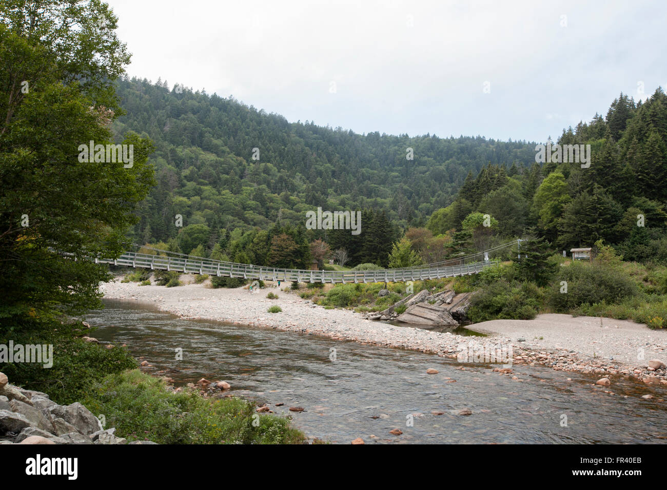 Fondo Gran Puente Sobre El Río Salmón En Fundy Trail Parkway Foto