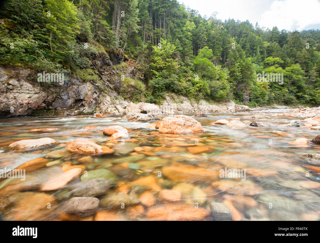 Gran río de salmones en el parque nacional fundy de Nueva