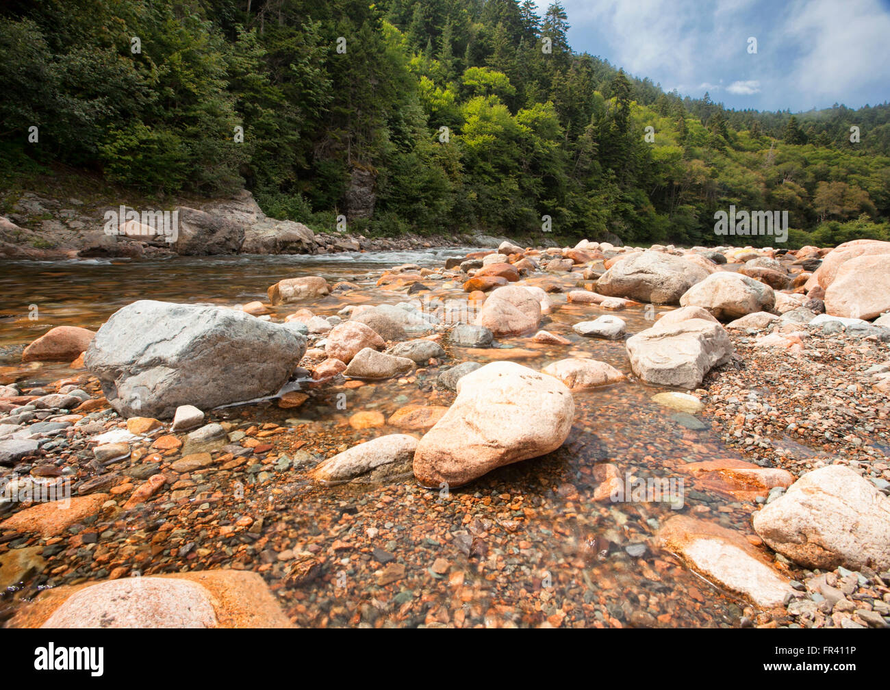 Fondo Gran Puente Sobre El Río Salmón En Fundy Trail Parkway Foto