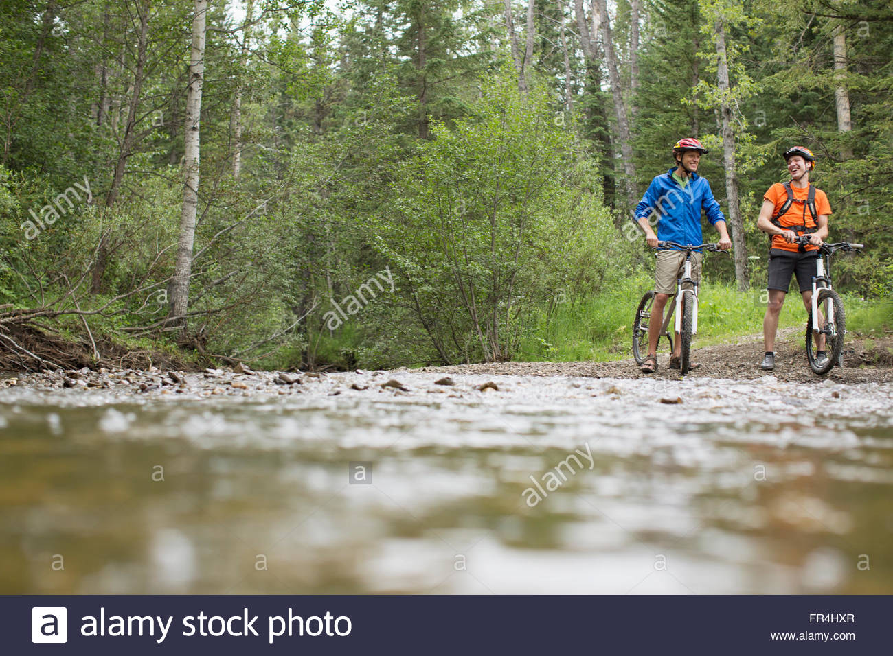 Dos ciclistas de montaña pauding masculino por un arroyo en el bosque Foto de stock