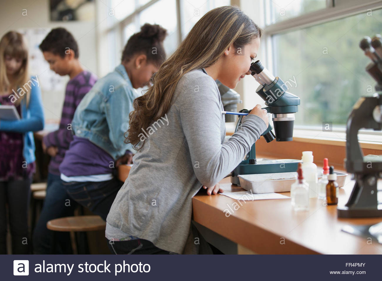 Los estudiantes de escuela intermedia con microscopios Foto de stock