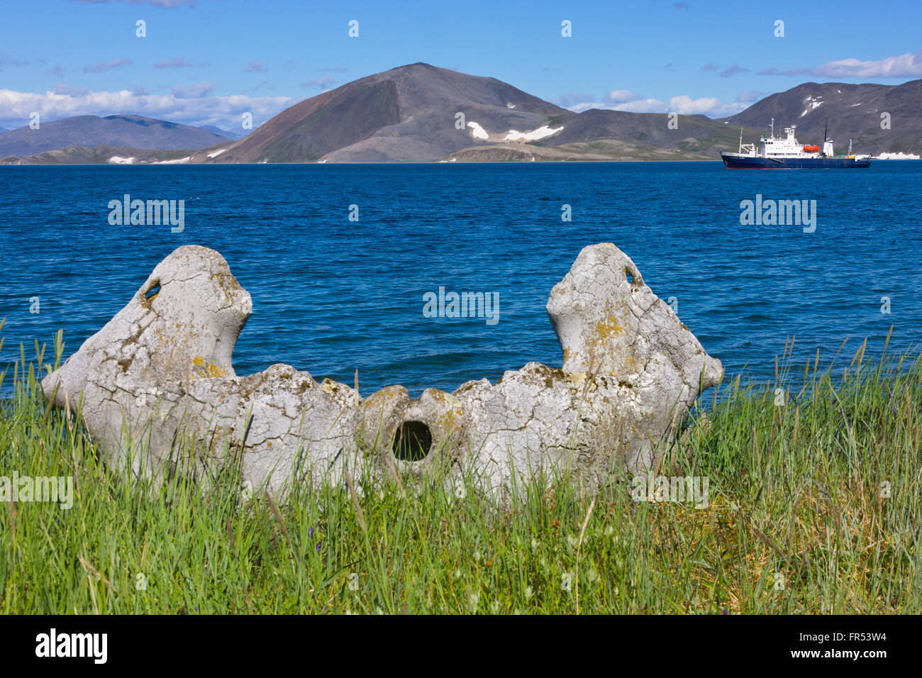 Hueso de la mandíbula de ballena, Isla Yttygran, Mar de Bering, Lejano Oriente ruso Foto de stock