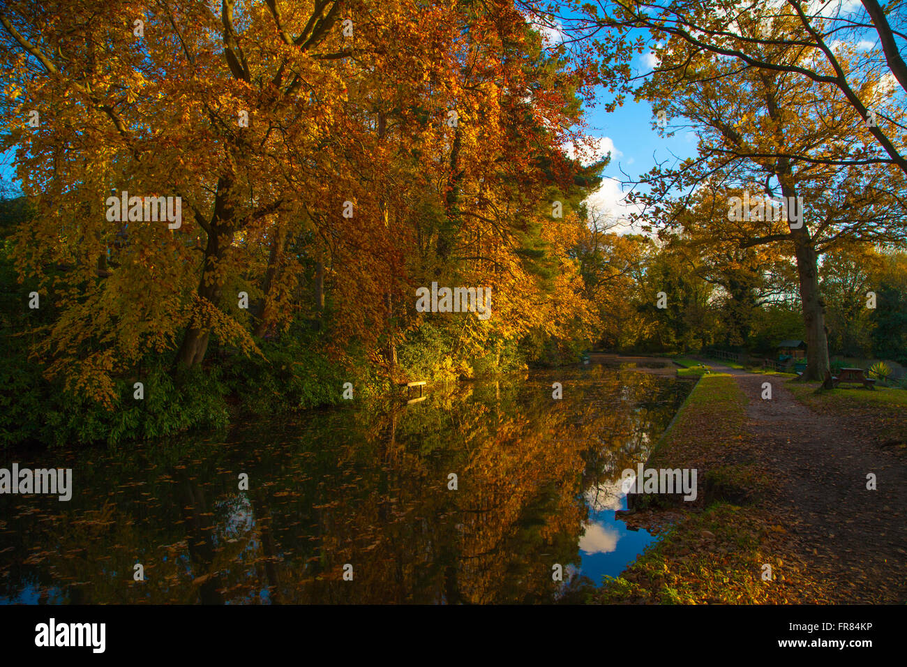 En el otoño de la flota Canal cerca de Basingstoke Hampshire. Inglaterra Foto de stock