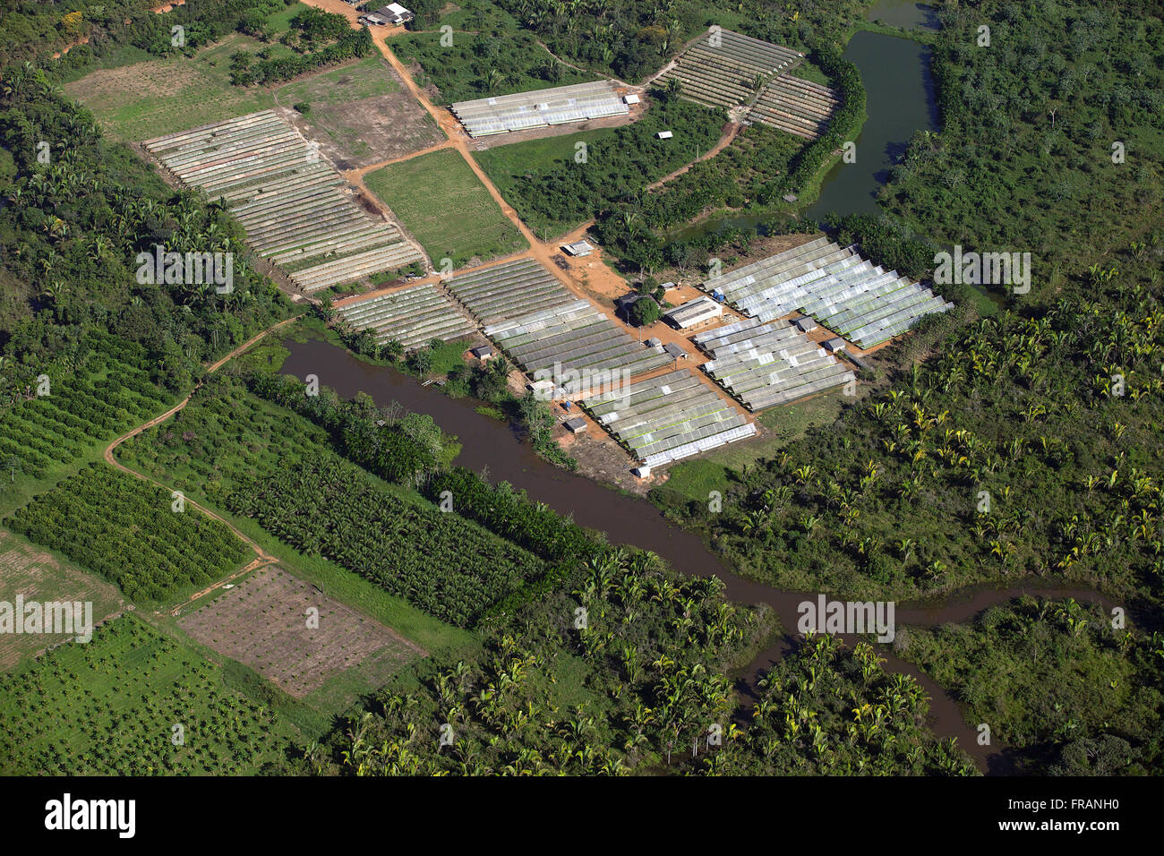 Vista aérea de la producción hortícola en las afueras de la ciudad. Foto de stock