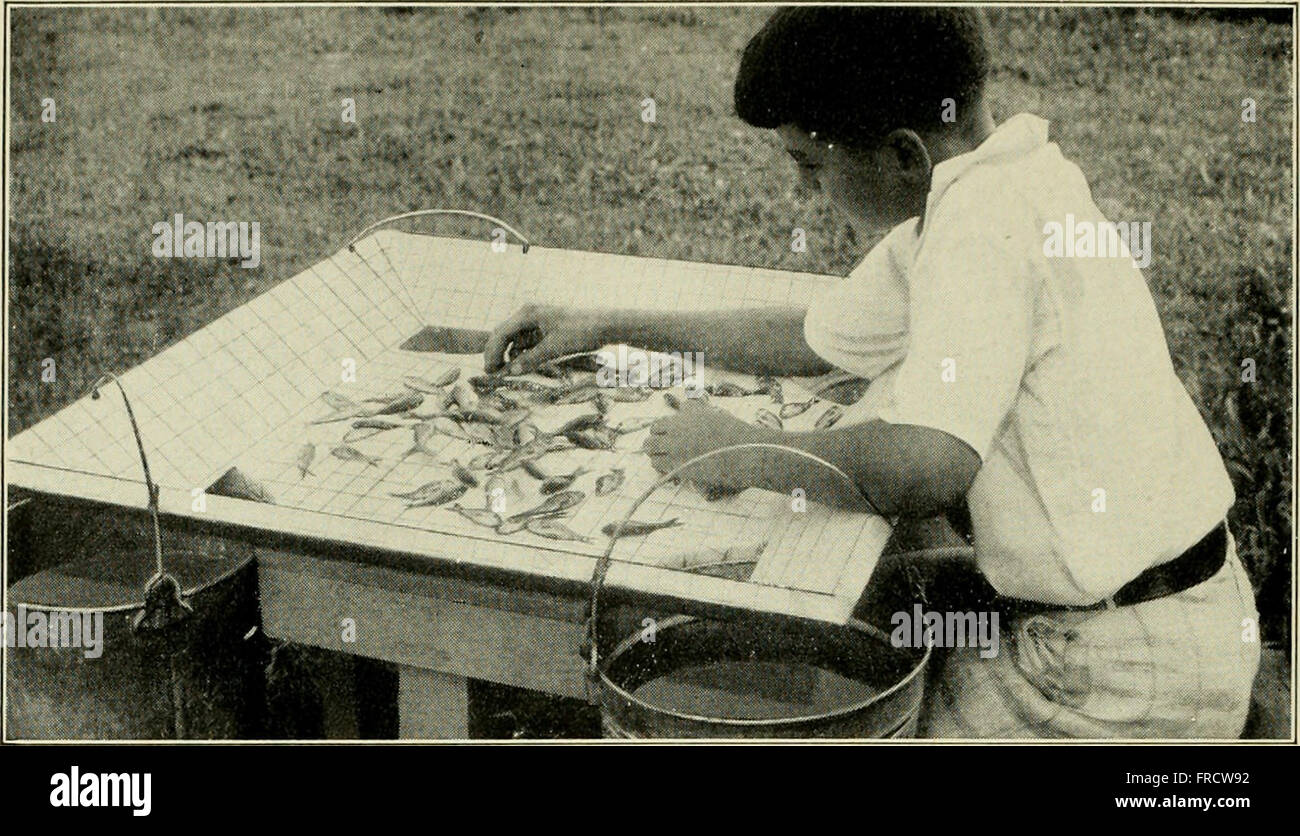 El acuario completo libro; el cuidado y la crianza de peces dorados y