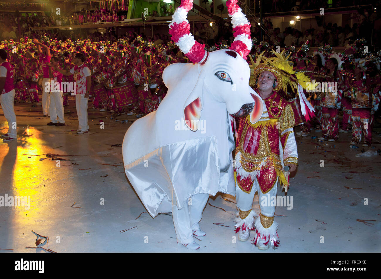 Festival Folclórico De Parintins Boi Garantizada Fotografía De Stock Alamy 5241