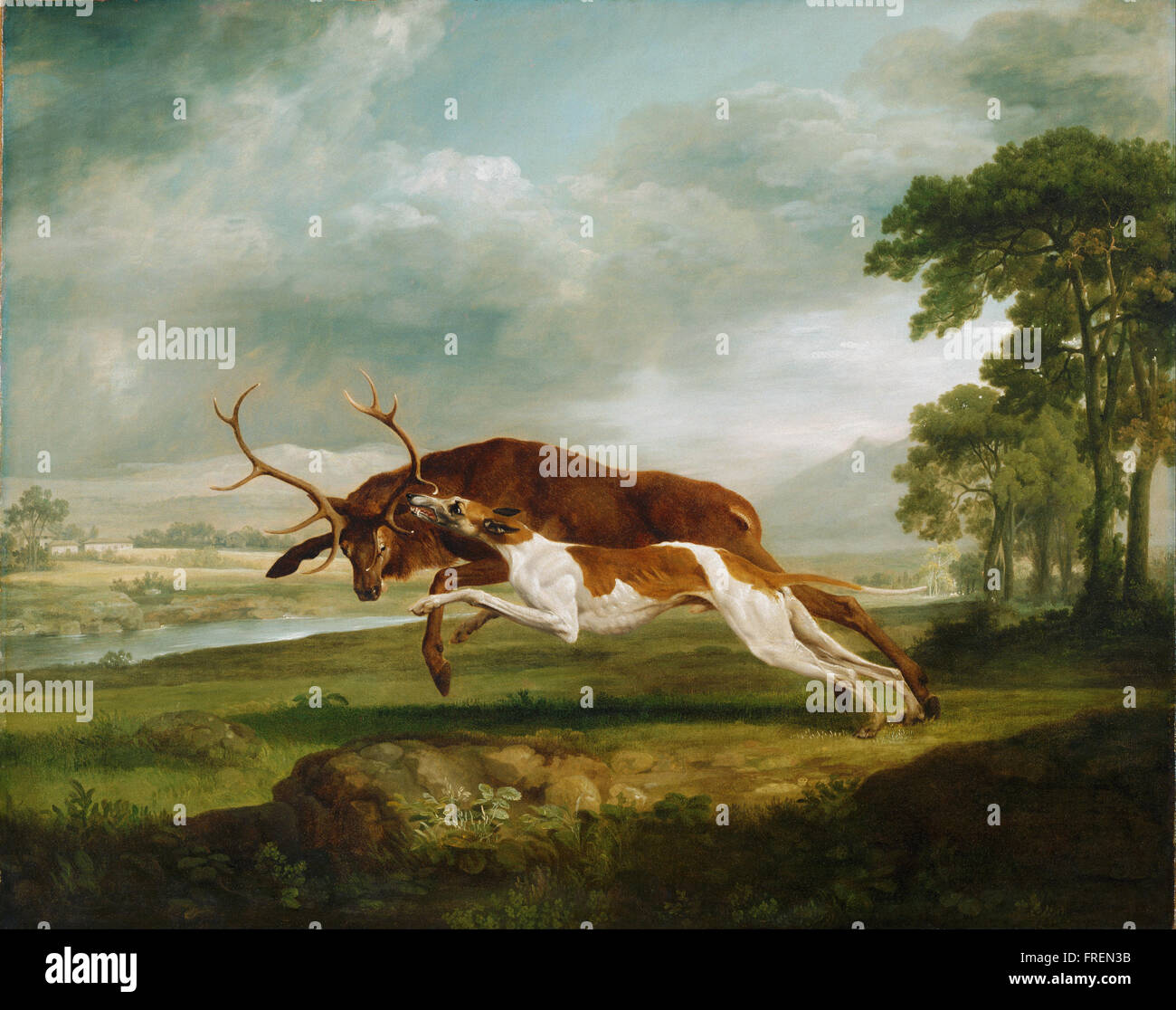 George Stubbs, Inglés - Hound cursando un ciervo Foto de stock