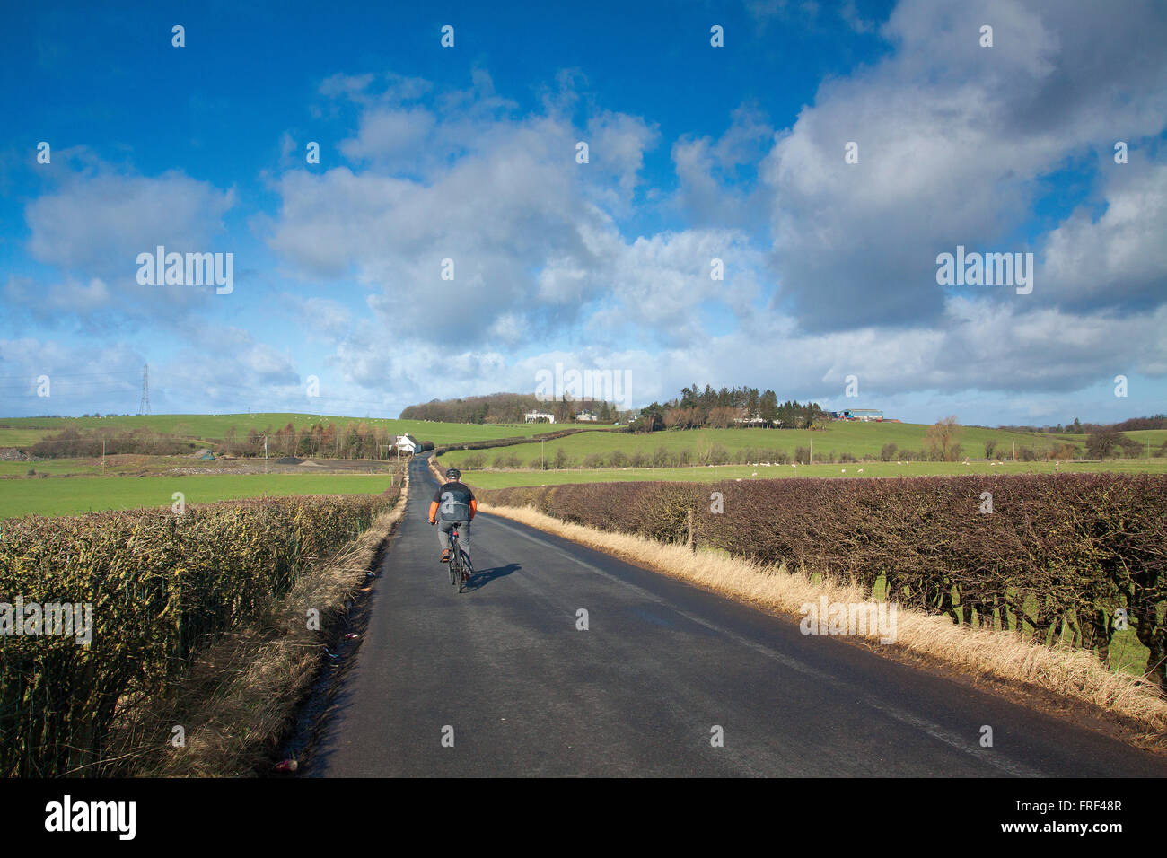 Un ciclista pedaleando hacia Thortonhall, South Lanarkshire Foto de stock