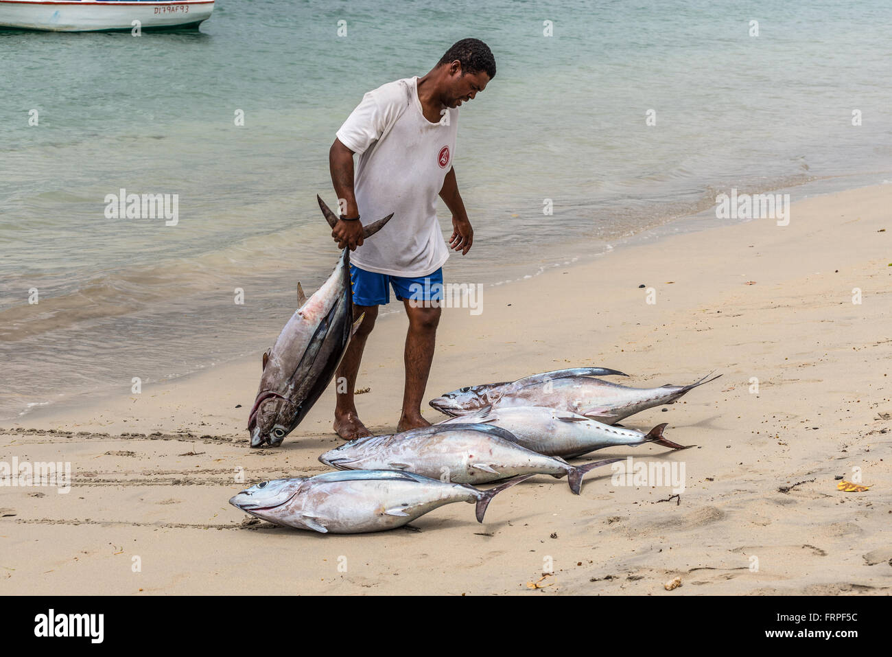 Pescador arrastra dos atunes en la playa de Tamarin Bay en Mauricio Foto de stock