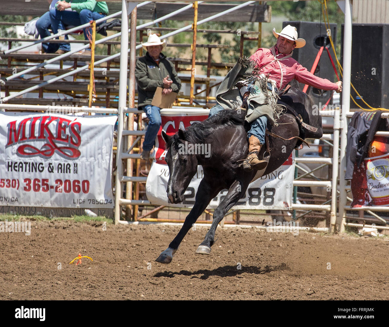 Bronco rider en acción en los Álamos, rodeo californiano. Foto de stock