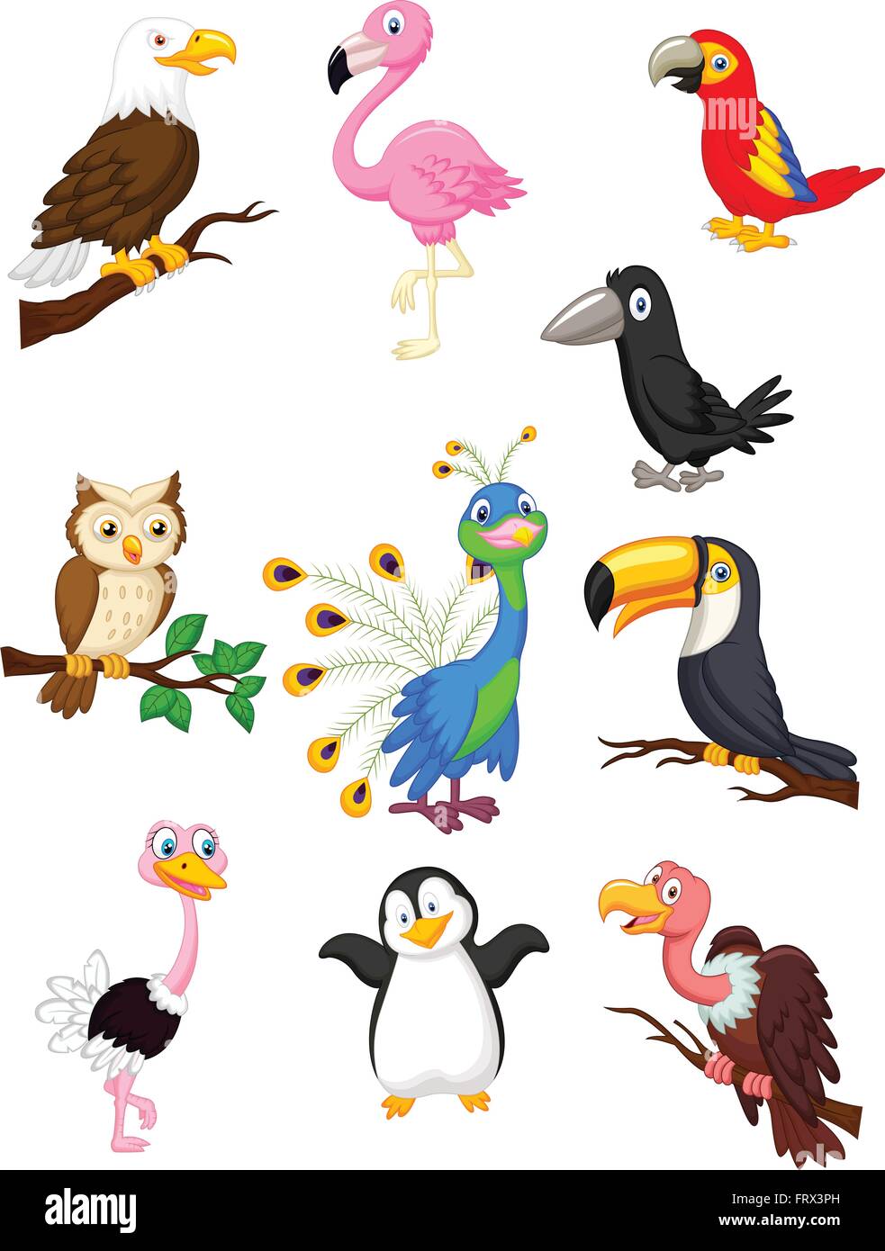 Colección de dibujos animados de aves Imagen Vector de stock - Alamy