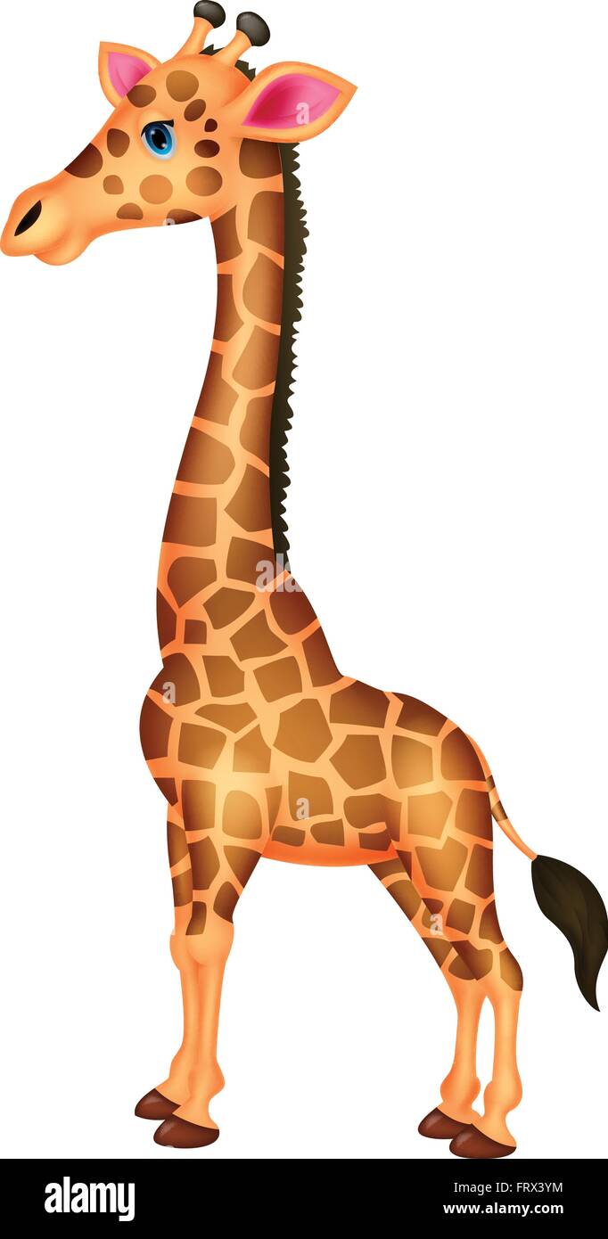 Jirafa de dibujos animados Imagen Vector de stock - Alamy Jirafa de dibujos animados Imagen Vector de stock - Alamy