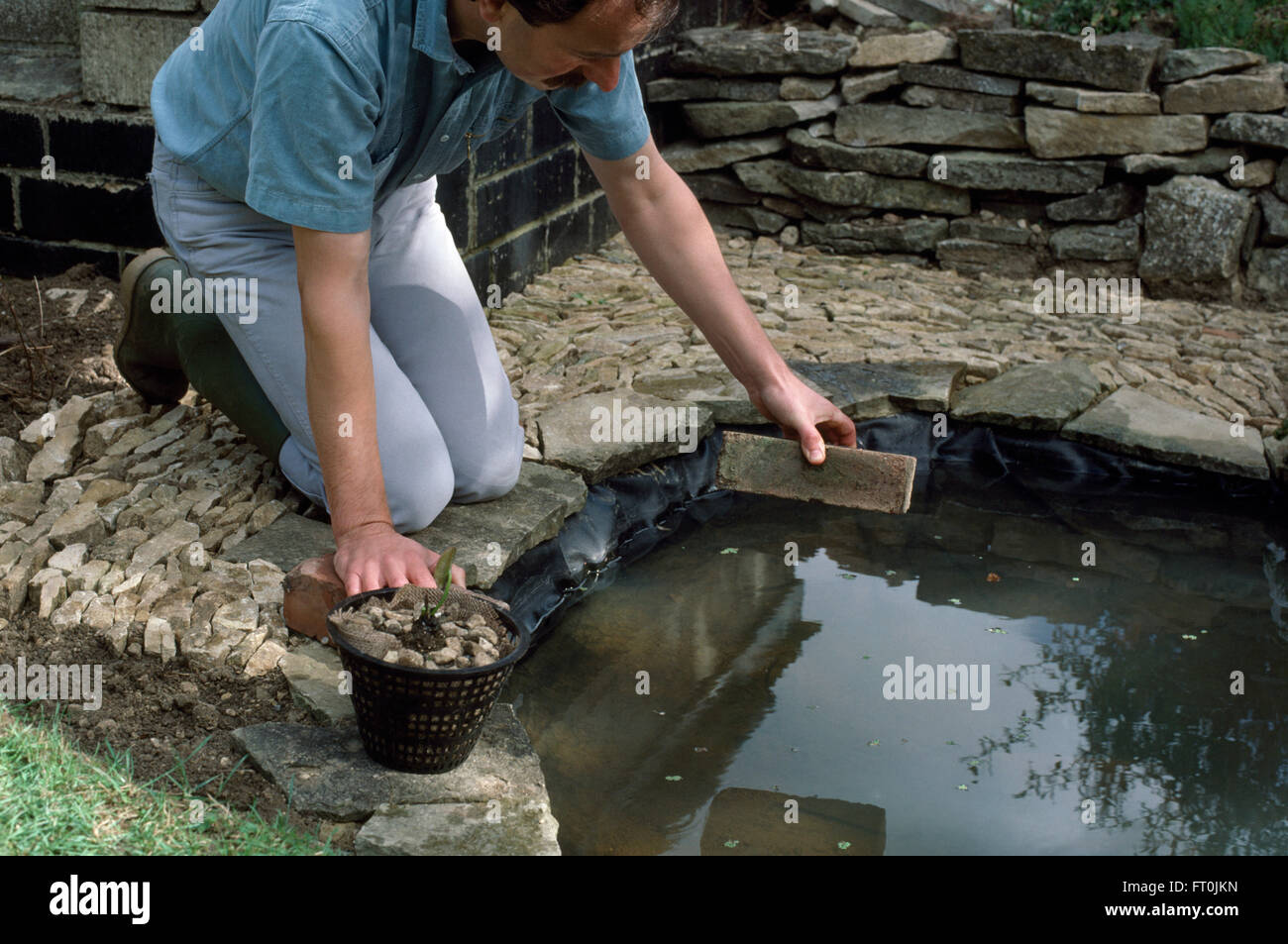 Jardinero poniendo ladrillos para apoyar plantas acuáticas en el estanque recién creado sólo para uso editorial Foto de stock