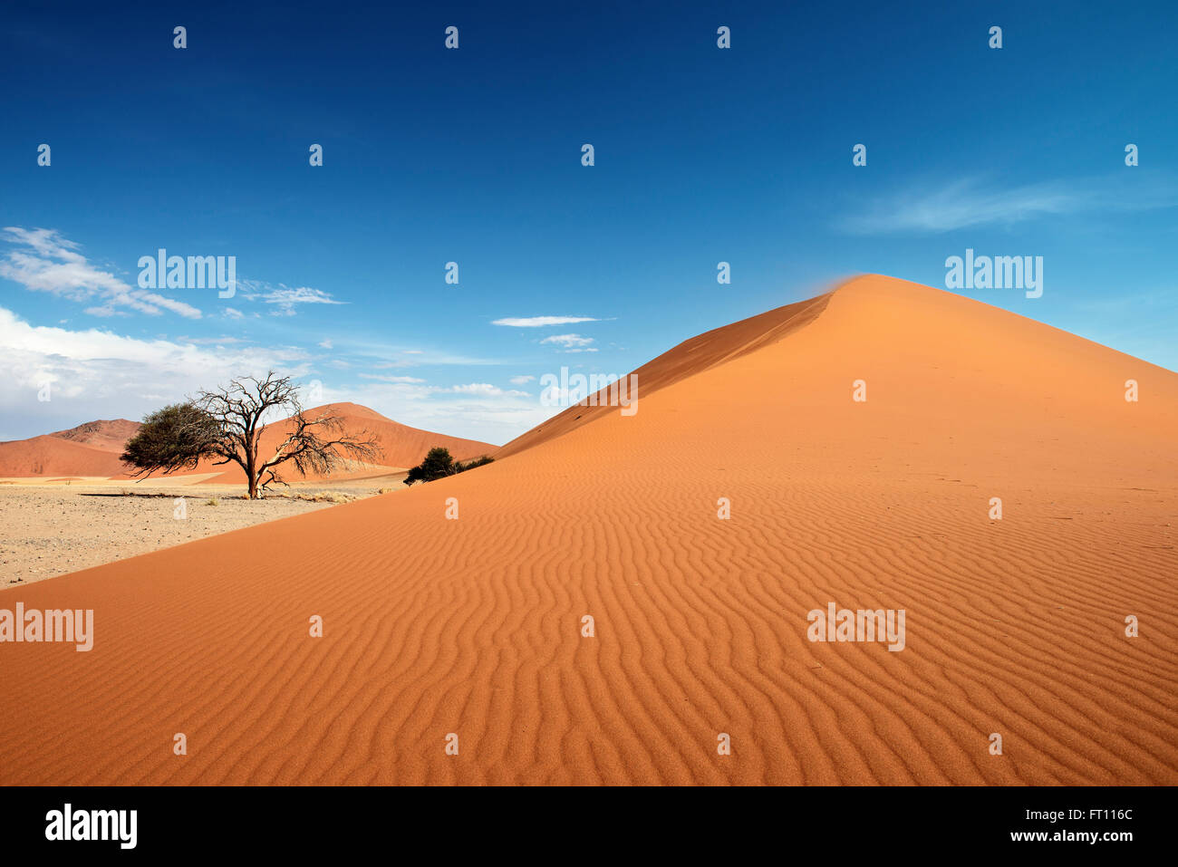 Dune 45, naranja y azul cielo de arena cerca de Namib Naukluft Sossusvlei, Parque Nacional, Namibia, el desierto de Namib, África Foto de stock