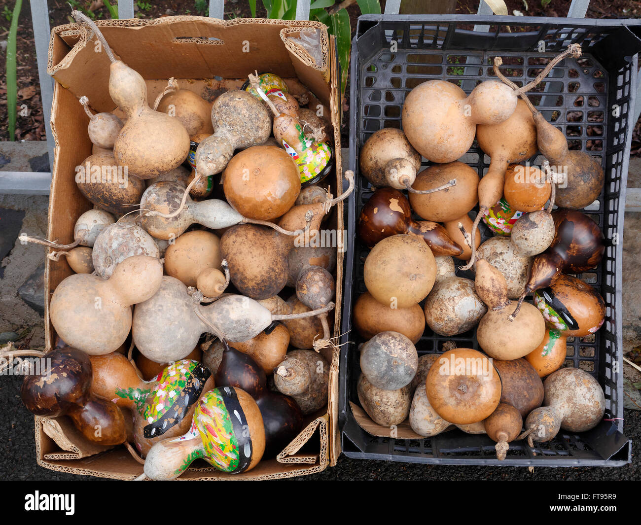 Verduras para la venta en mercados, Madeira, marzo de 2016 Foto de stock
