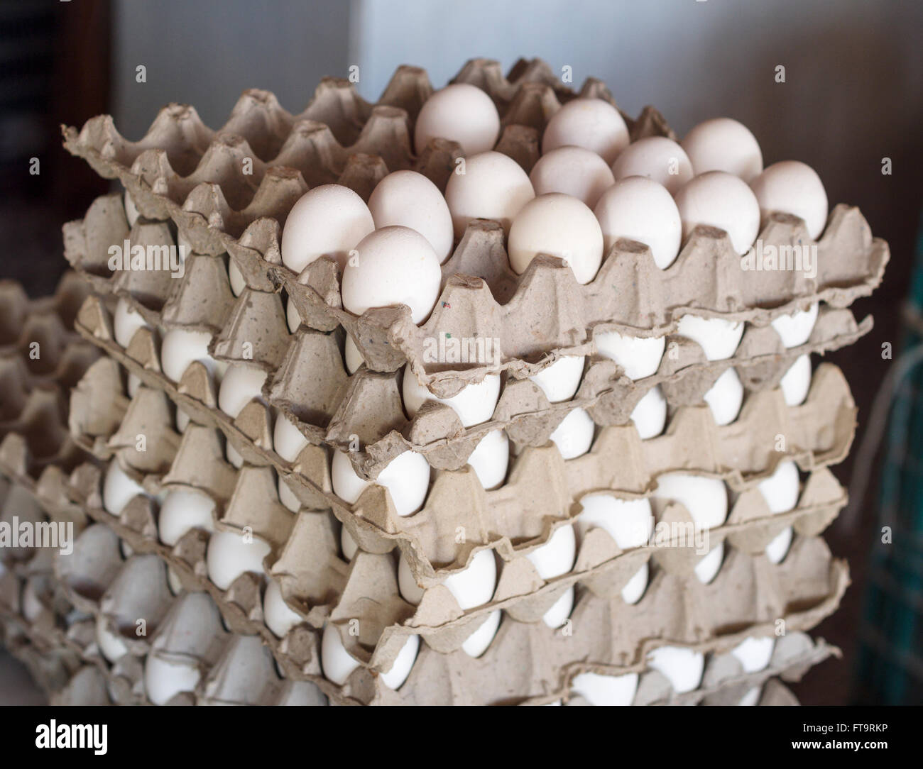 Seis capas de huevos para la venta. Un bloque de pisos de huevos de gallina  blanca para su venta en el mercado local. Muchas de la capa superior se han  ido Fotografía