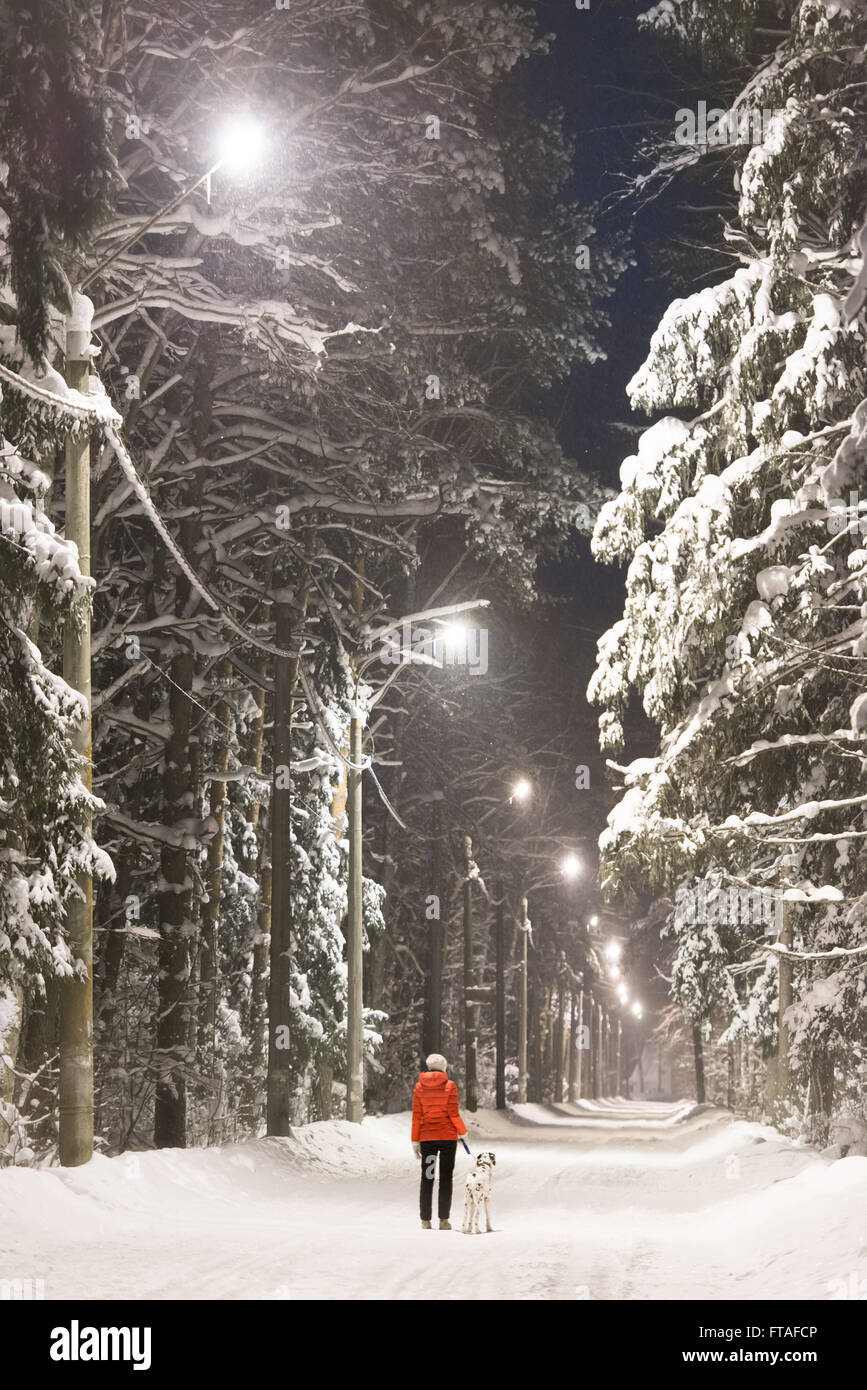 Mujer joven y el perro dálmata en invierno bosque. Carretera y árboles cubiertos de nieve, las luces de la calle a lo largo de la carretera. Foto de stock